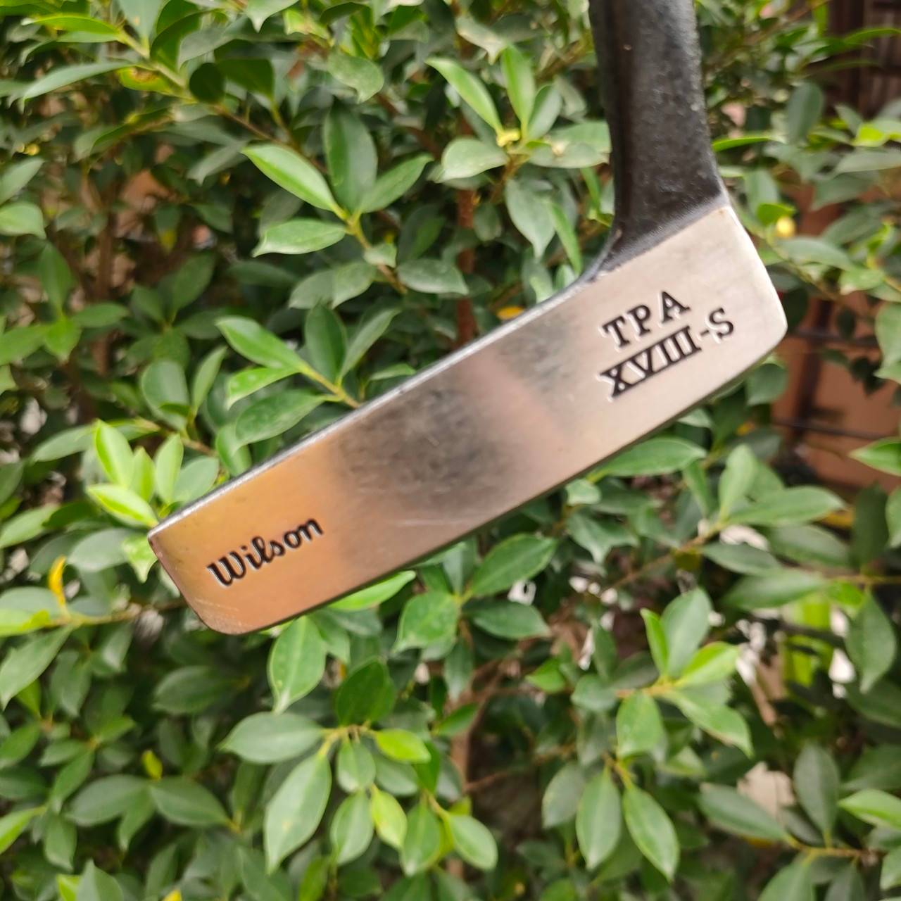 PUTTER WILSON ความยาว 35 นิ้ว ก้าน TPA มอลเล็ต พัตต์ง่าย สวยเดิมๆ