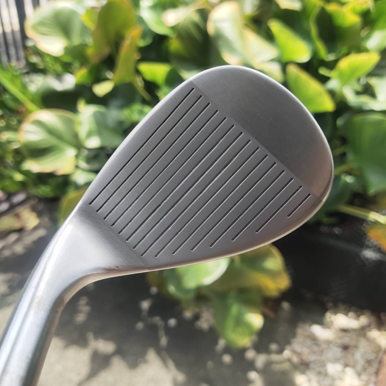 WEDGE Cleveland CG10 56° – CMM LOW Bounce ระเบิดทรายดีแบบสุดๆ