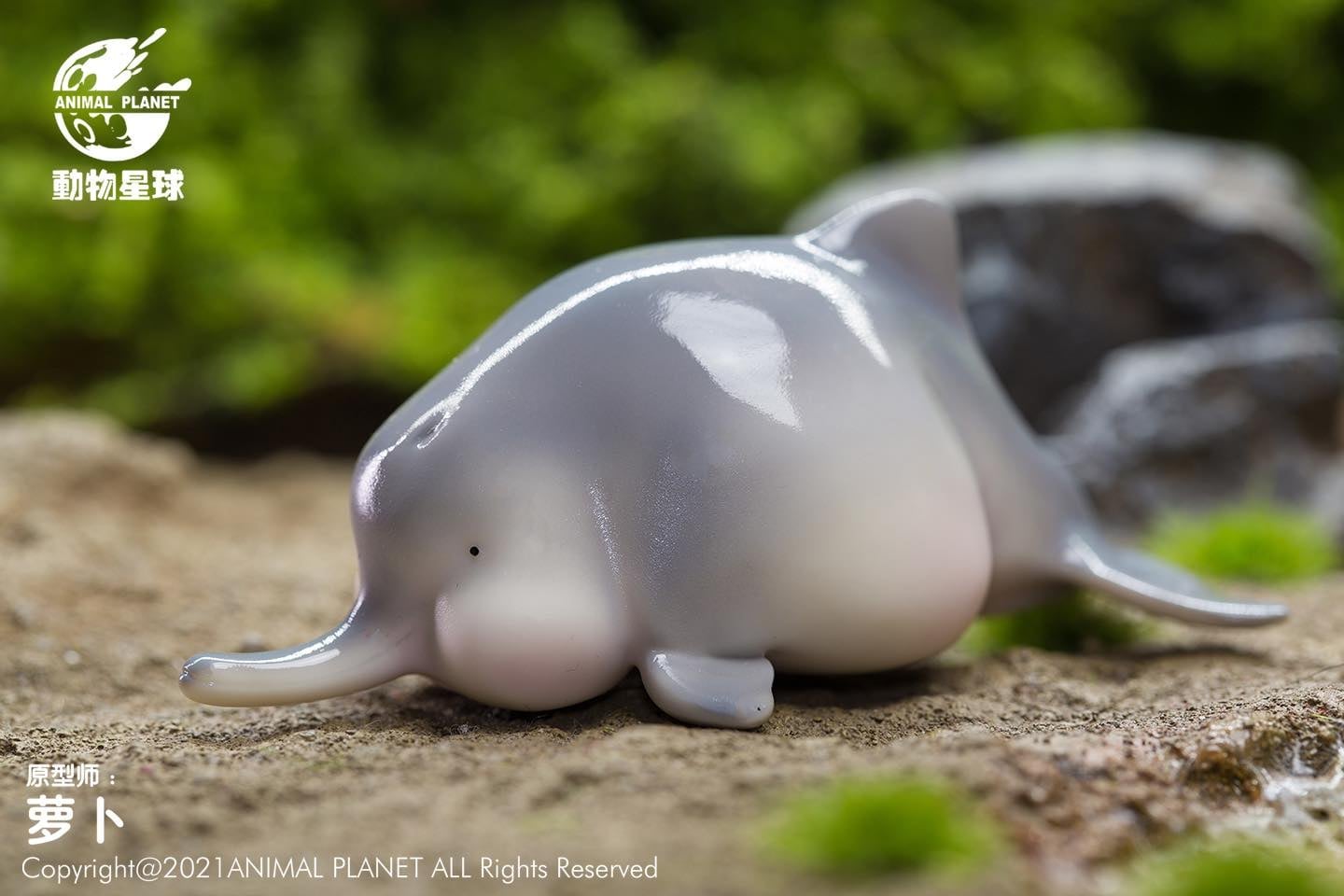 [สั่งจอง]Animal Planet : Chinese Treasure