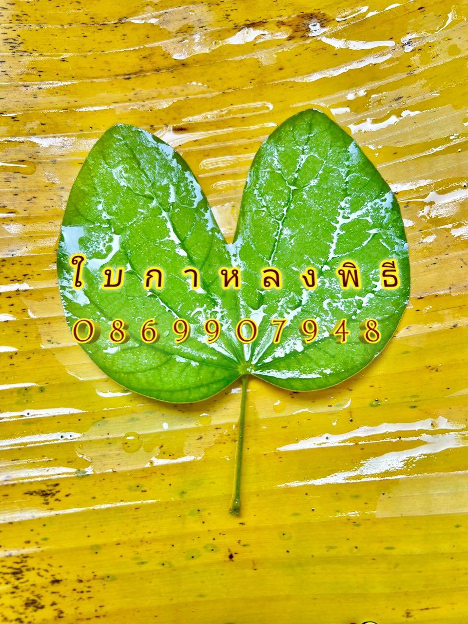 ใบไม้มงคล (พิธี)