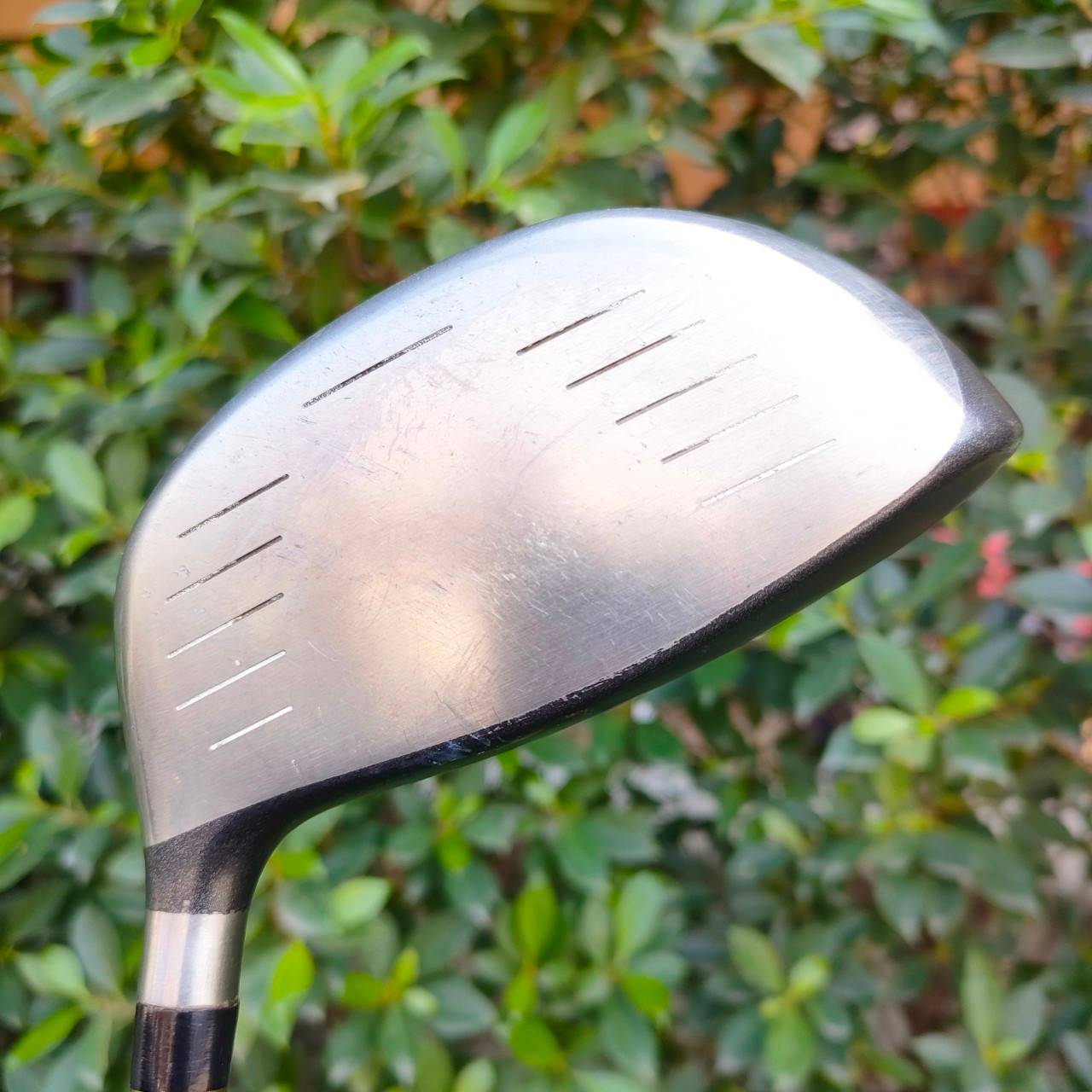 DRIVER CLEVELAND HIBORE องศา 9.5 ก้าน MATRIX OZIL FLEX R