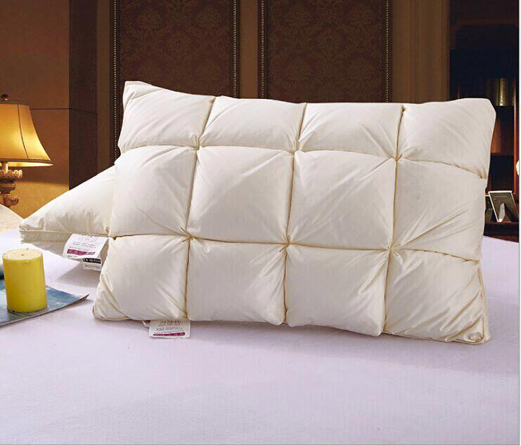 Pre-order หมอนขนเป็ด "หลับฝันดี" สีครีม (Have A Sweet Dream ; Ivory Down Pillows)