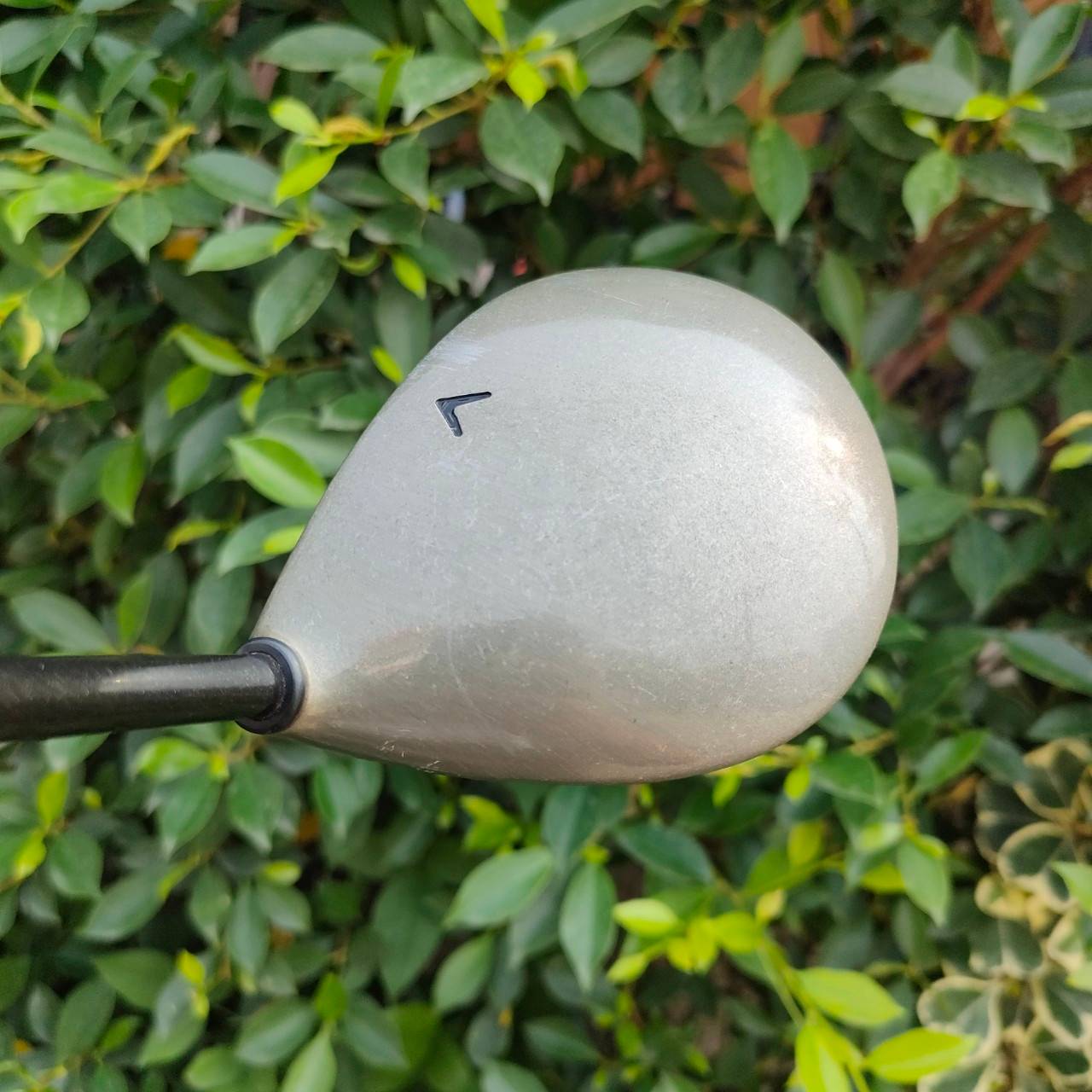 DRIVER CALLAWAY BIG BERTHA WAR BIRD องศา 10 ก้าน RCH96 FLEX R รุ่นดัง เน้นตีง่าย สนุก
