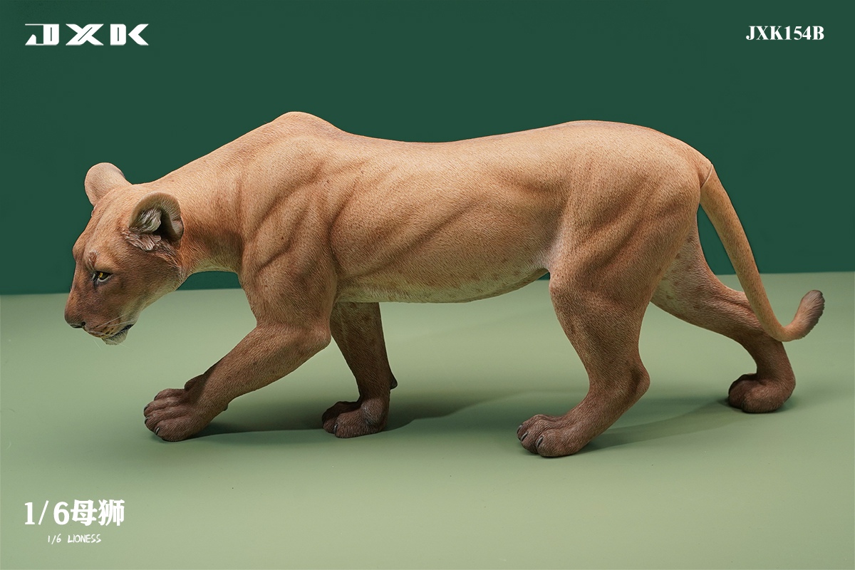 [สั่งจอง] JXK JXK154 1/6 : Lioness