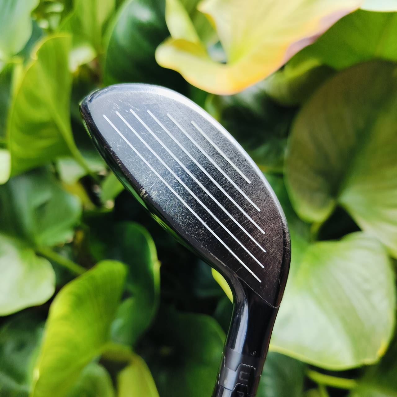 *** ไม้กอล์ฟมือซ้าย *** FW3 TITLEIST 910F องศา15 ก้าน FUJIKURA MOTOREF3 FLEX R ตีมันส์ๆ ก้านก็สุดพรีเมี่ยม ไม้กอล์ฟพรีเมี่ยมมือสอง ของแท้ By NakaraLuxurious