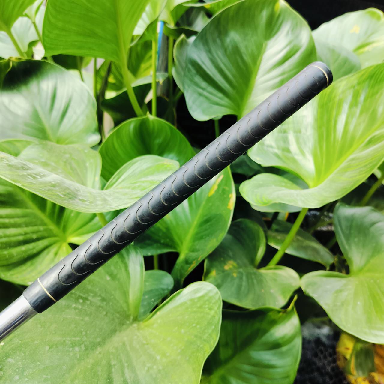 PUTTER TOPPOINT FOCUS 543 ความยาว 35 นิ้ว ทรงมอลเล็ตพัตต์ง่าย PARAMETER WEIGHT SYSTEM นิ่งมาก บล๊านซ์มากค่ะ ก้าน CENTER ไม้กอล์ฟพรีเมี่ยมมือสอง ของแท้ By NakaraLuxurious