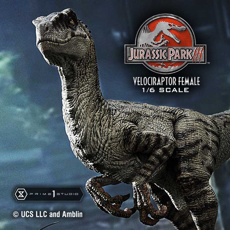 [สั่งจอง] Prime 1 Studio : 1LMCJP-11: Velociraptor Female (Jurassic Park 3)