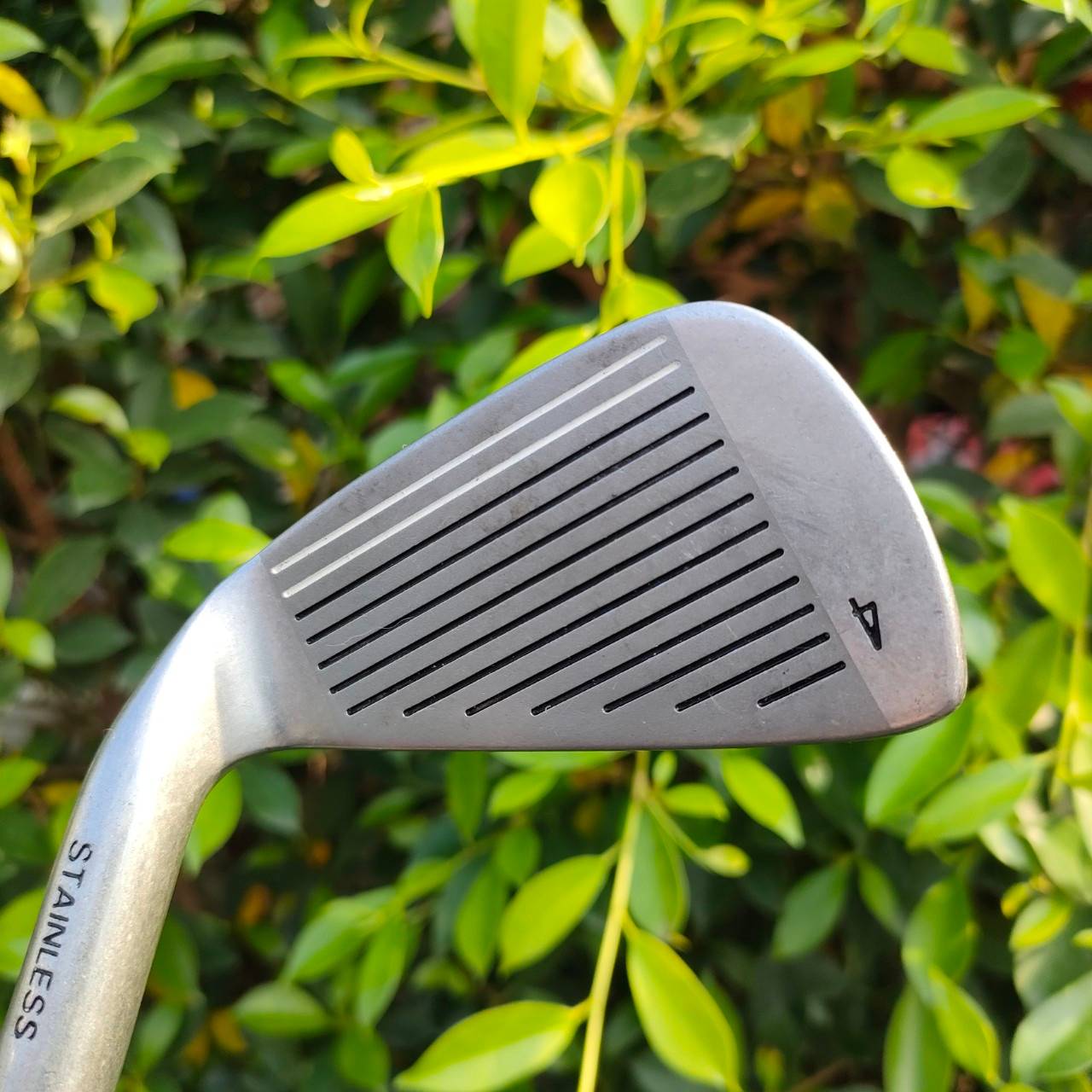 ** ไม้กอล์ฟสำหรับผู้หญิง ** ชุดเหล็ก 956 GL GOLDEN LADDIE มีเหล็ก 3-9 เเละ PW SW ก้าน FRAFLLO FLEX L เหล็กตีง่าย ใบกระจายน้ำหนัก และมีน้ำหนักสวิงเวทกำลังดี แต่น้ำหนักรวมเบา วัสดุดีมากครับ