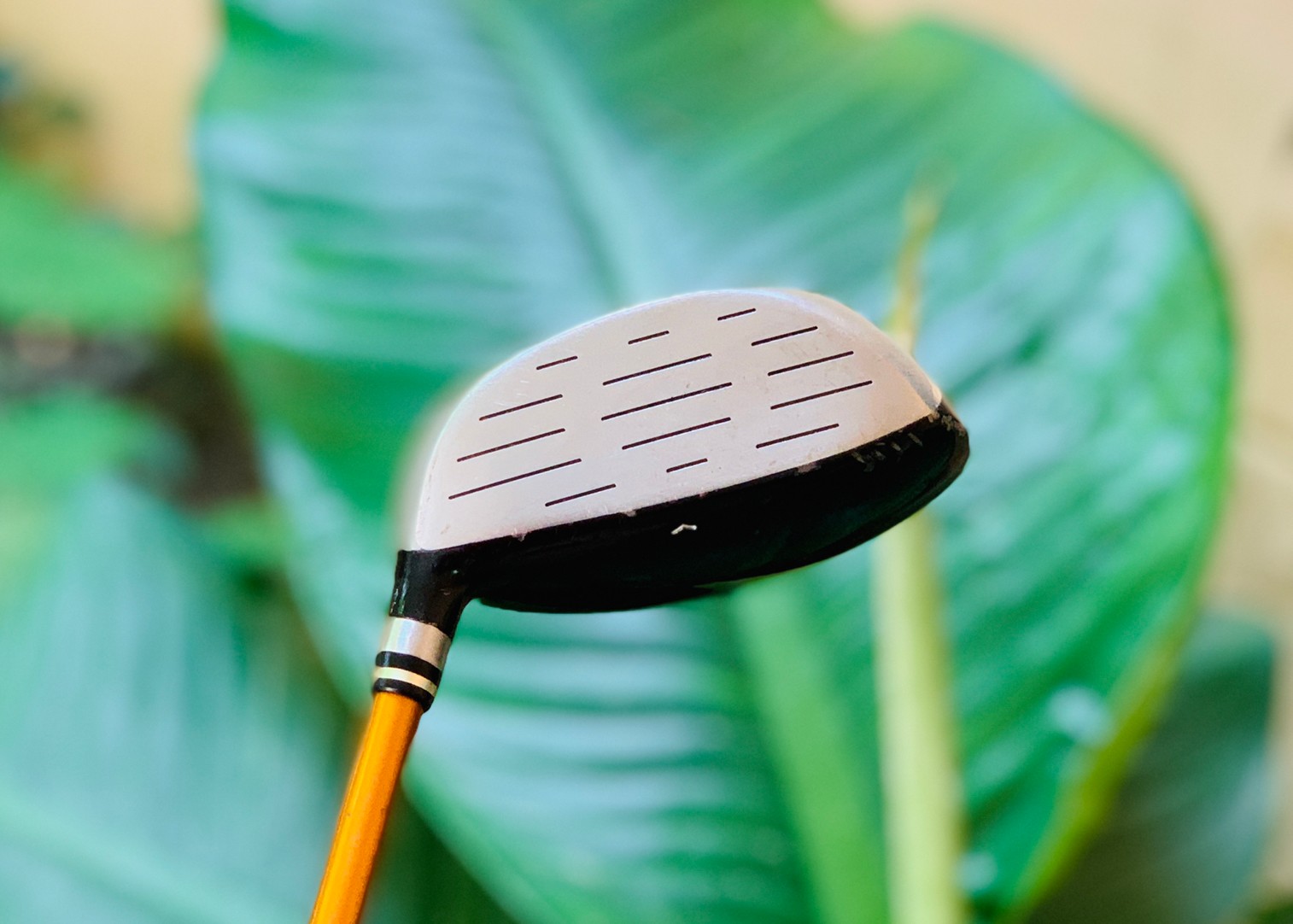 FAIRWAY 3 WILSON STAFF DF6 องศา15