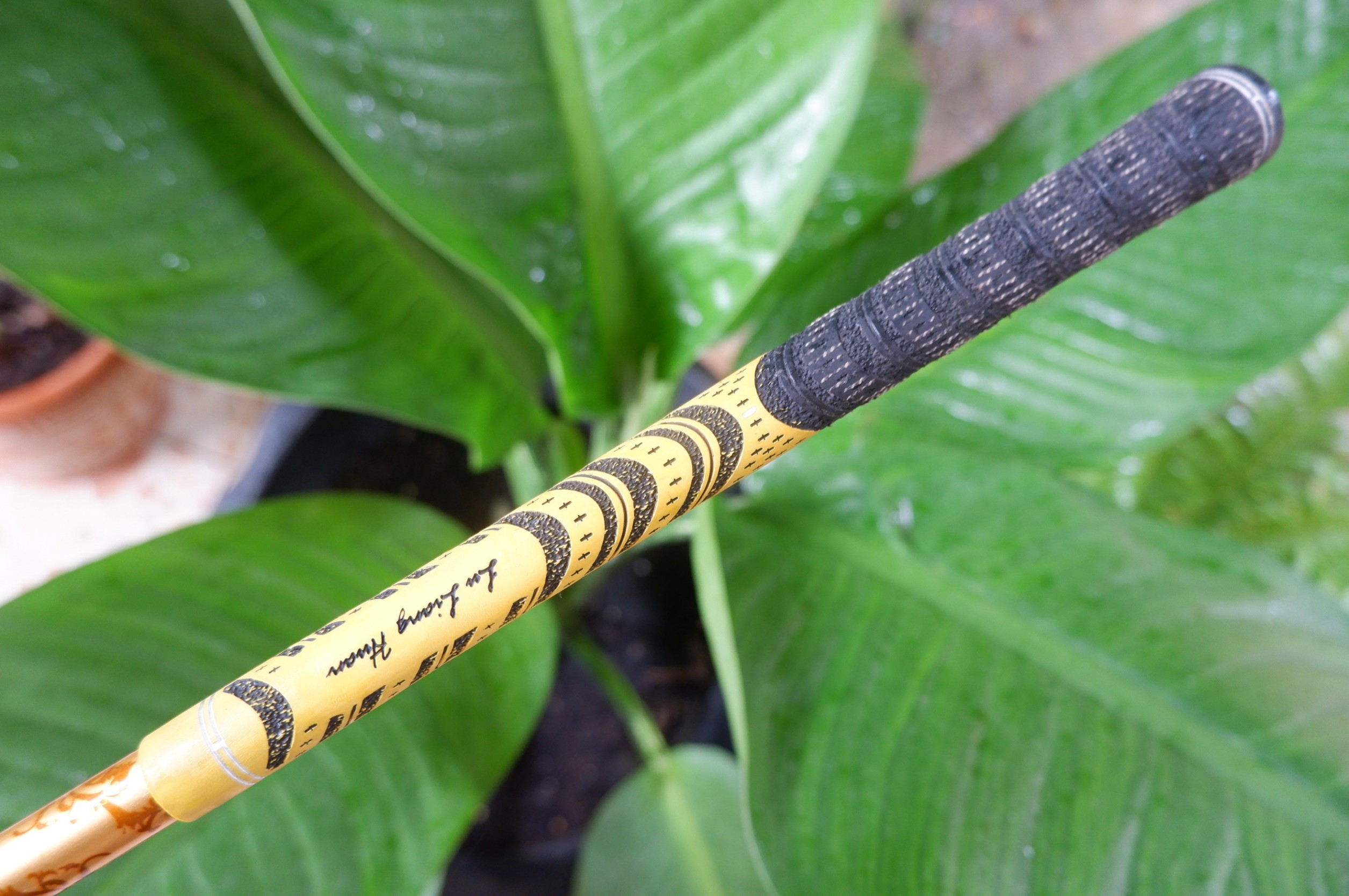 HYBRID iron wood liang.s