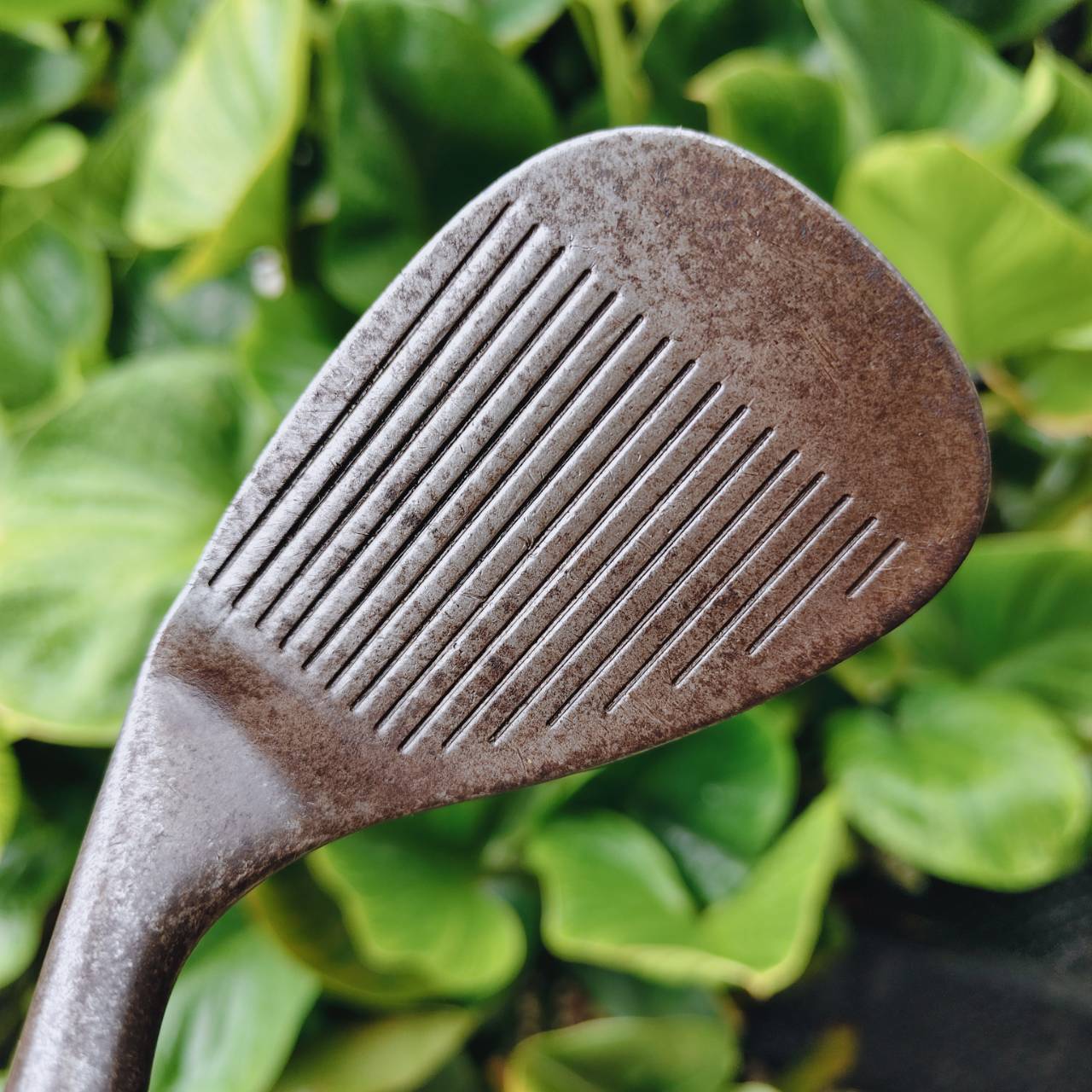 Cleveland REG588 Wedge 56° – รุ่นสนิมสุดคลาสสิก