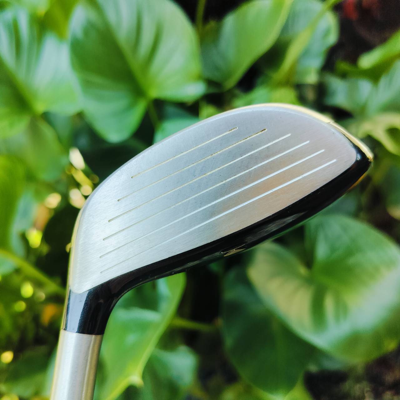 FW3 Titleist 909 F2 องศา 15.5 ก้านพรีเมี่ยม DIMANA FLEX S ตีมันส์มากๆ ตีไกล เสียงเพราะมาก รูปทรงแบน ตีเข้าบอลได้อย่างมั่นใจ ไม้กอล์ฟพรีเมี่ยมมือสอง ของแท้ By NakaraLuxurious