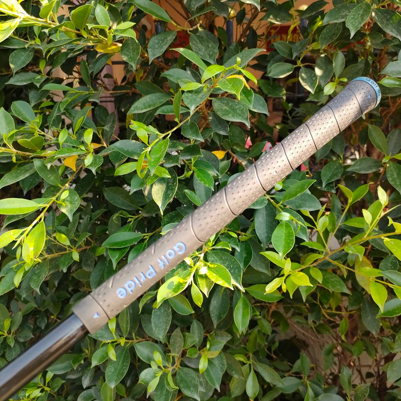 ชุดเหล็ก KASCO ROYAL SUPER HYTEN มีเหล็ก 5-9 เเละ PW AW SW ก้าน KASCO KR ROYAL FLEX R เป็นรุ่นระดับ HI-END สูงสุด หายากมาก ที่ญี่ปุ่นมือสอง ราคายังไป 3 หมื่นกว่าครับ ท่านที่ชอบขุดเหล็กหรูหรา และยัง ช่วยในการตี ตีวงแบบสบายๆ ก็ง่าย ได้ระยะ มากๆ เลยครับ เป็น