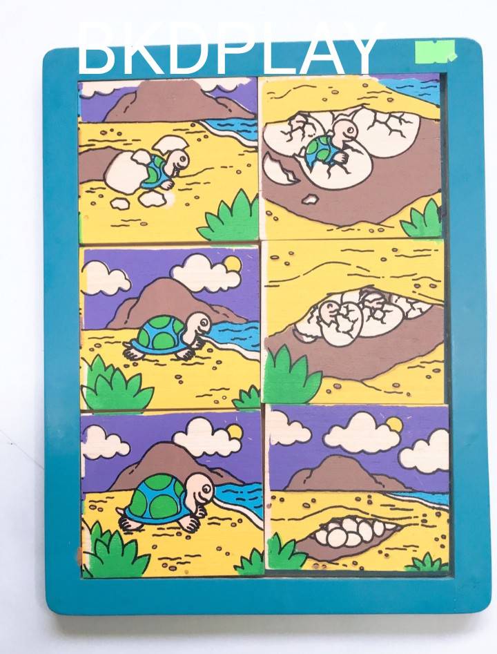 ของเล่น, ของเล่นเด็ก, จิ๊กซอว์, ตัวต่อ, เกมลำดับเหตุการณ์สัตว์ , ของเล่นไม้, ของเล่นเสริมพัฒนาการ, ของเล่นเด็กอนุบาล, สื่อการสอนเด็กอนุบาล