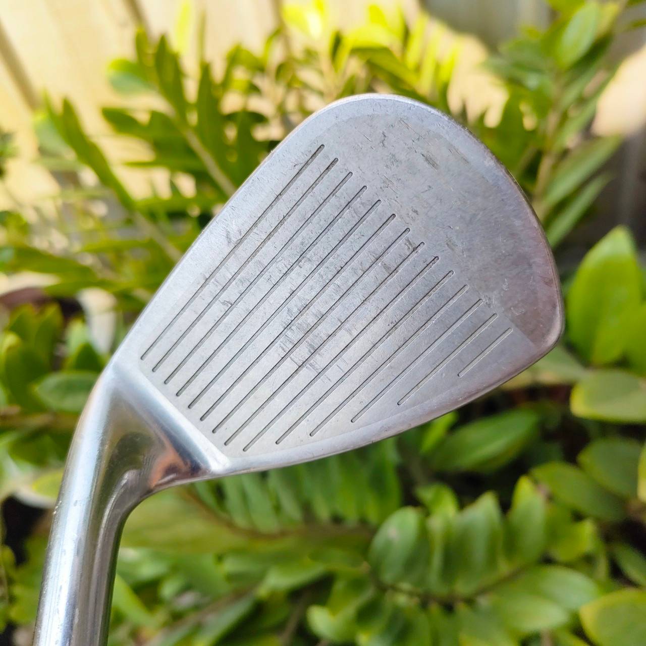 ชุดเหล็ก MARUMAN SF-1 มีเหล็ก 4 - 9 เเละ PW ก้าน GENESIS 60 EJ FLEX R ตีไกลที่สุดในโลก การันตีโดย Guinness World Records ไม้กอล์ฟพรีเมี่ยมมือสอง ของแท้ By NakaraLuxurious