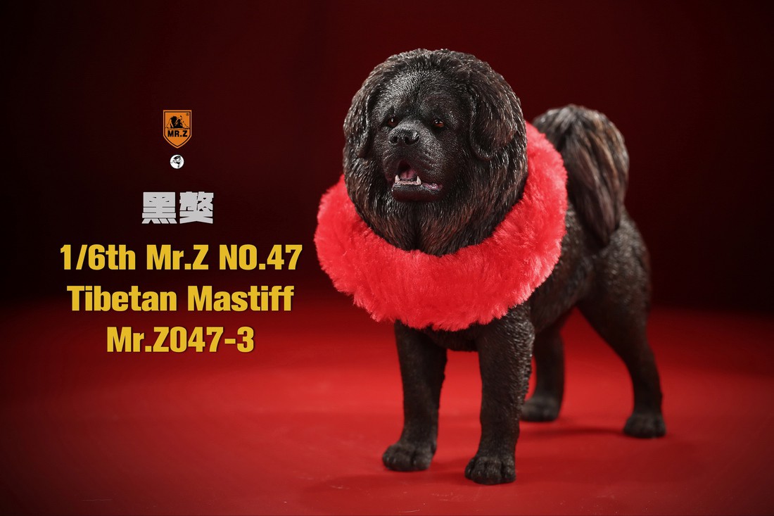 [สั่งจอง] MR. Z Animal Model MRZ047 1/6th Tibetan Mastiff