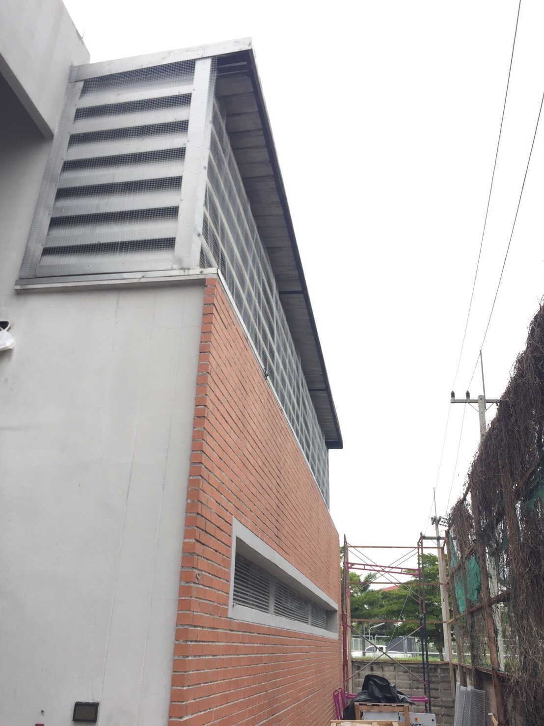 งานติดตาข่ายกันนก ตึกกายวิทยาทาน มหาวิทยาลัยมหิดล