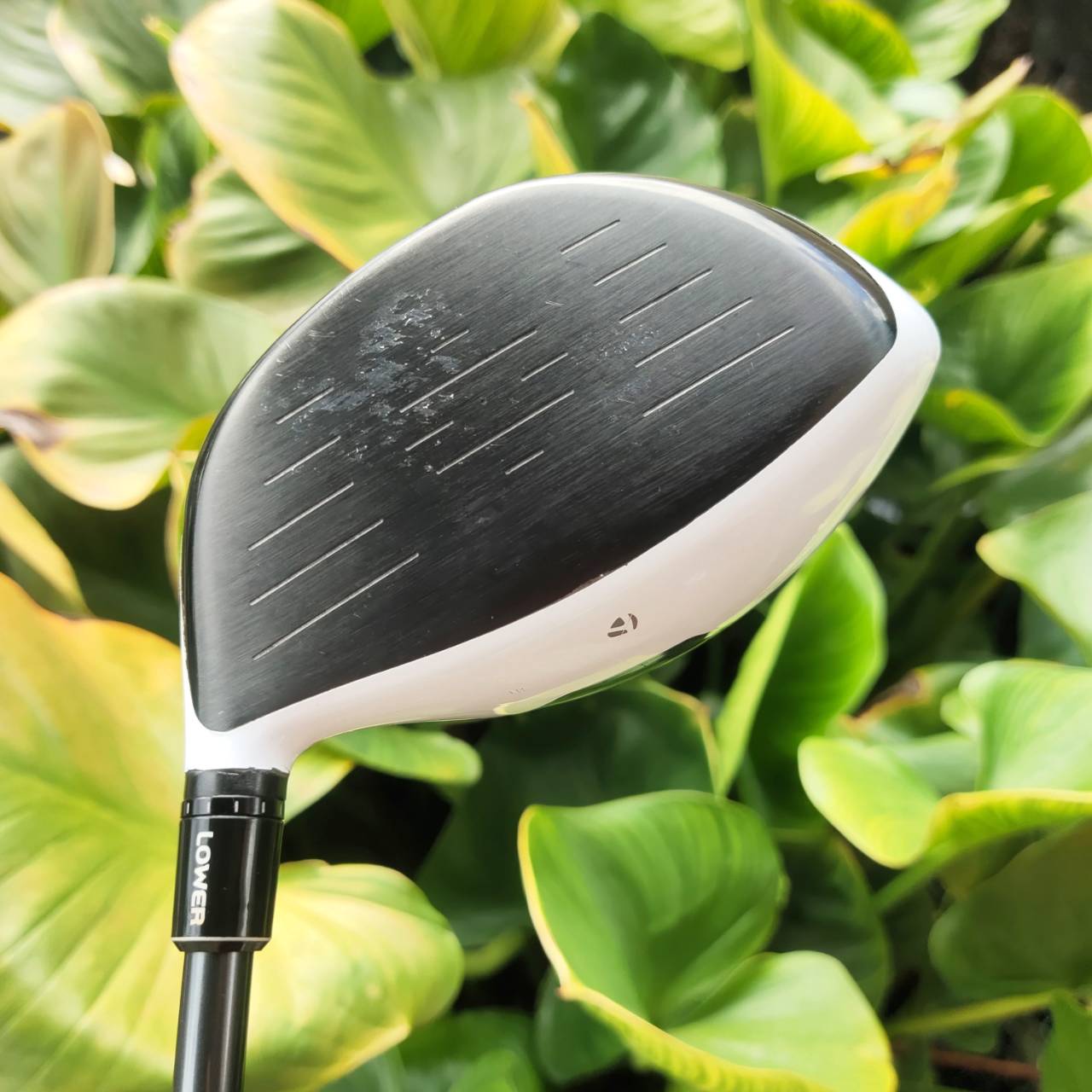 Driver Taylormade M1 ผสมผสาน Titanium และ Carbon Fiber เพื่อเพิ่มความเร็วและลดน้ำหนัก