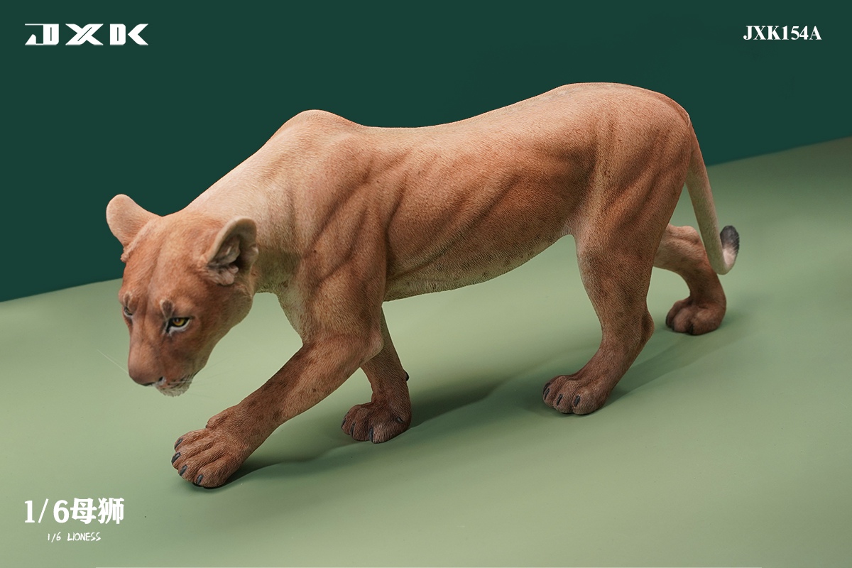 [สั่งจอง] JXK JXK154 1/6 : Lioness