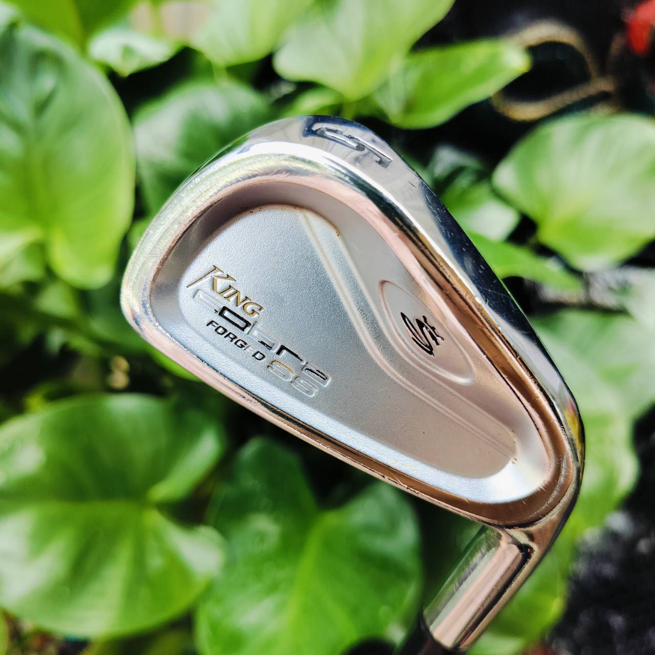 เหล็ก 5 KING COBRA FORGED SS ก้าน DYNAMIC GOLD S300 แม่นยำเป้าหมาย ใบ FORGED พรีเมี่ยม ให้ความนุ่มนวล หนักแน่น ฟีลลิ่งสุดพิเศษ ไม้กอล์ฟมือสอง ของแท้ By NakaraLuxurious