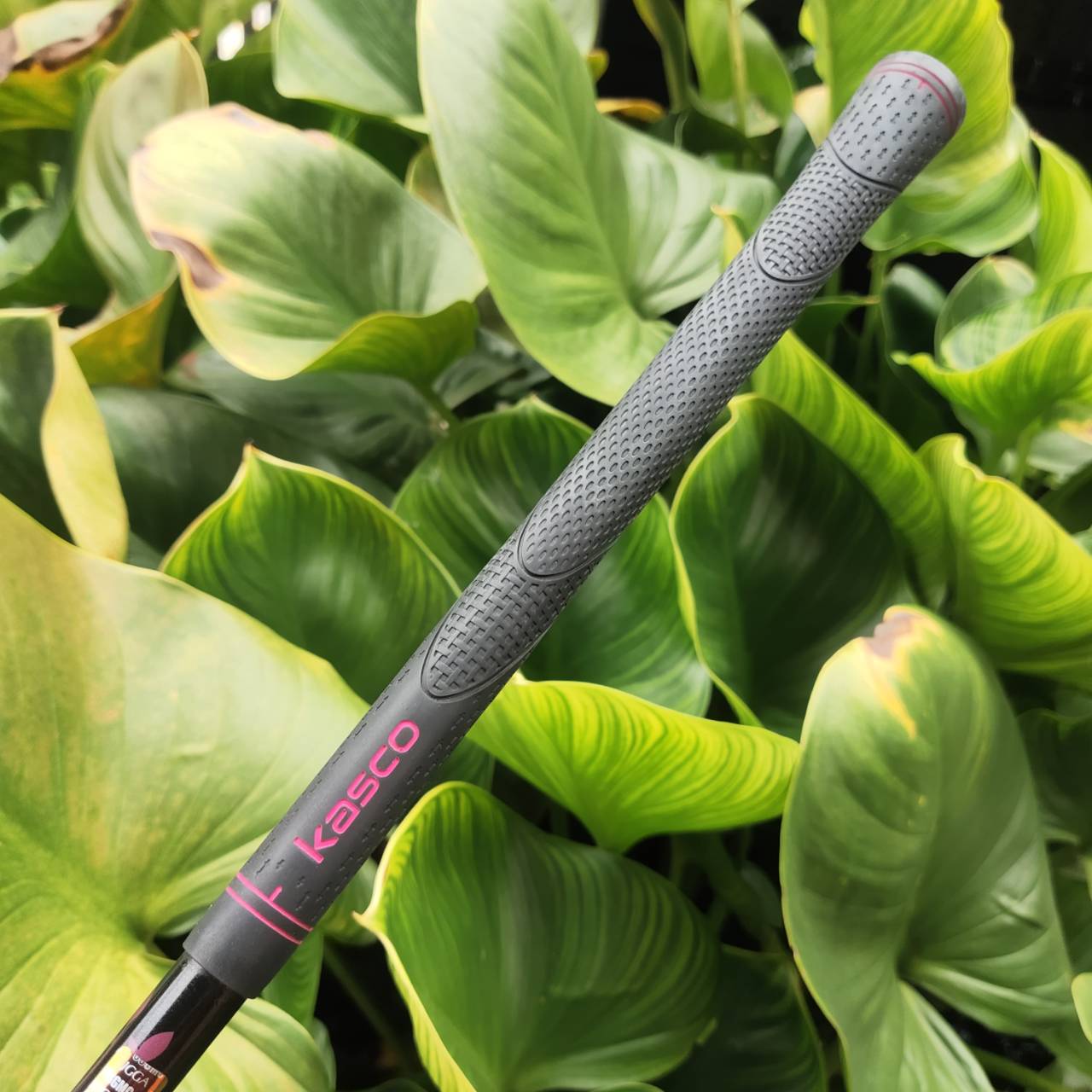 KASCO FEREINA ชุดไม้กอล์ฟระดับพรีเมียมสำหรับสุภาพสตรี เบา ตีง่าย ดีไซน์สวยงามจากประเทศญี่ปุ่น