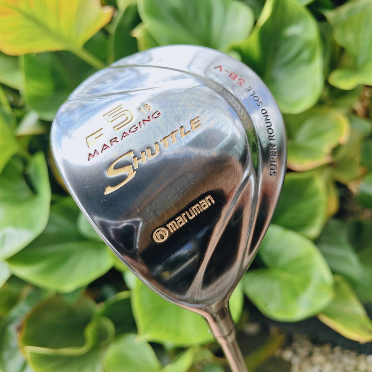 มือซ้ายตัวเด็ด!! FW5 MARUMAN SHUTTLE หน้าเด้ง MARAGING องศา 18