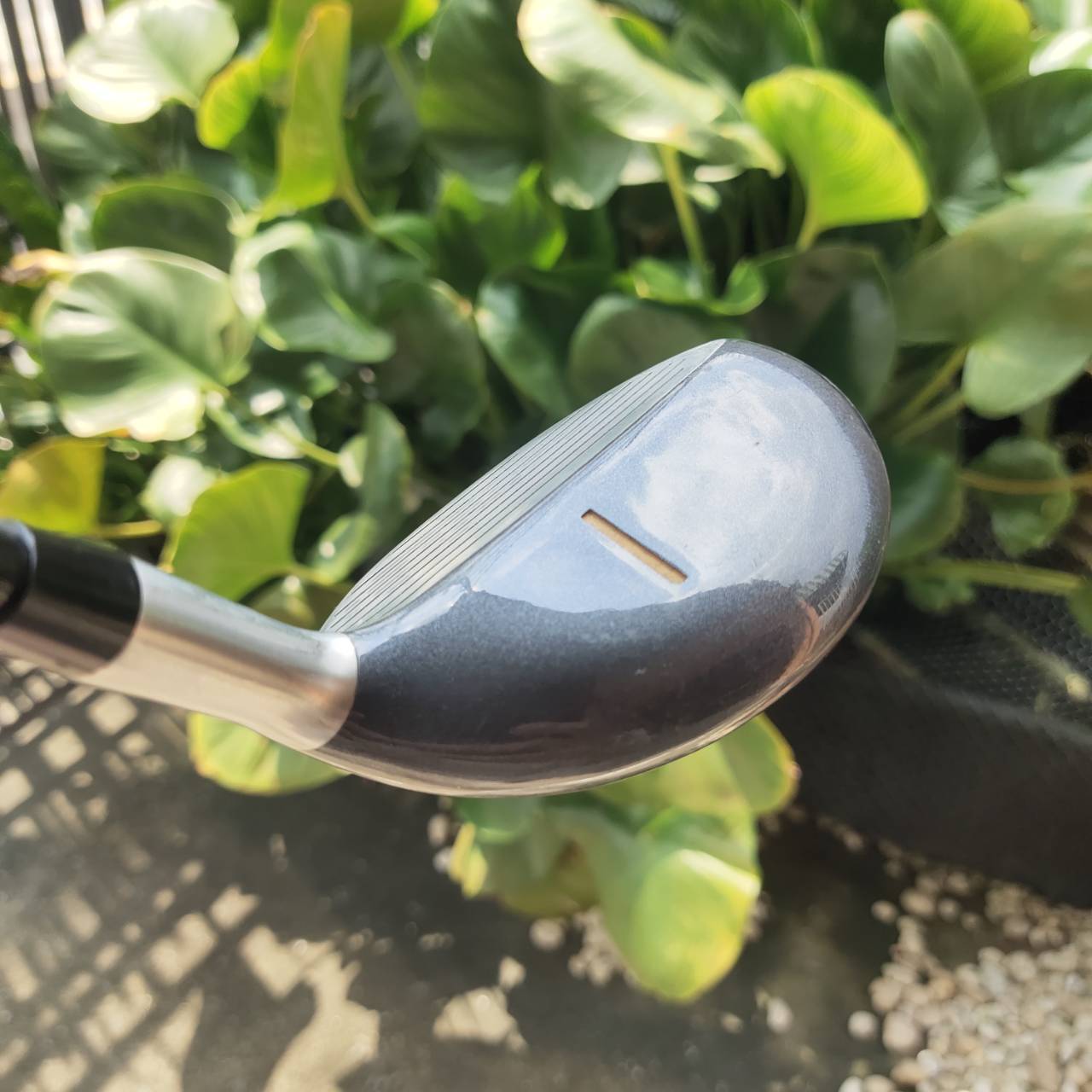 ชุดเหล็กแบบไฮบริดทั้งชุด Thomas Golf AT705 ตีง่ายมากที่สุด สปีดไม่แรง ไม่มีเวลาซ้อม ก็ตีดีมาก