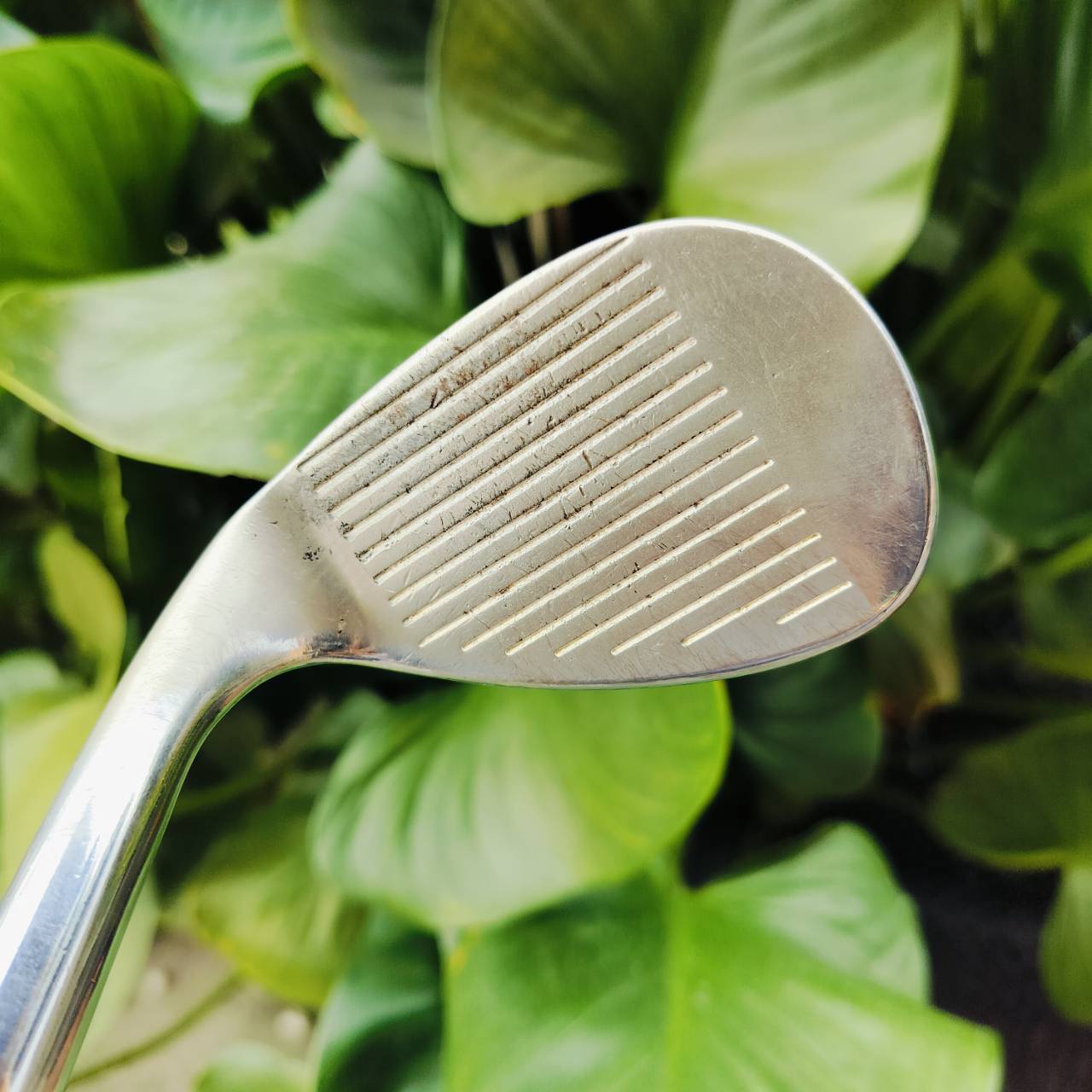WEDGE Cleveland 485 องศา 56 ก้านสำหรับ WEDGE โดยเฉพาะ โมเดลนี้ เป็นจุดพีคๆของ Cleveland ไม้กอล์ฟพรีเมี่ยมมือสอง ของแท้ By NakaraLuxurious