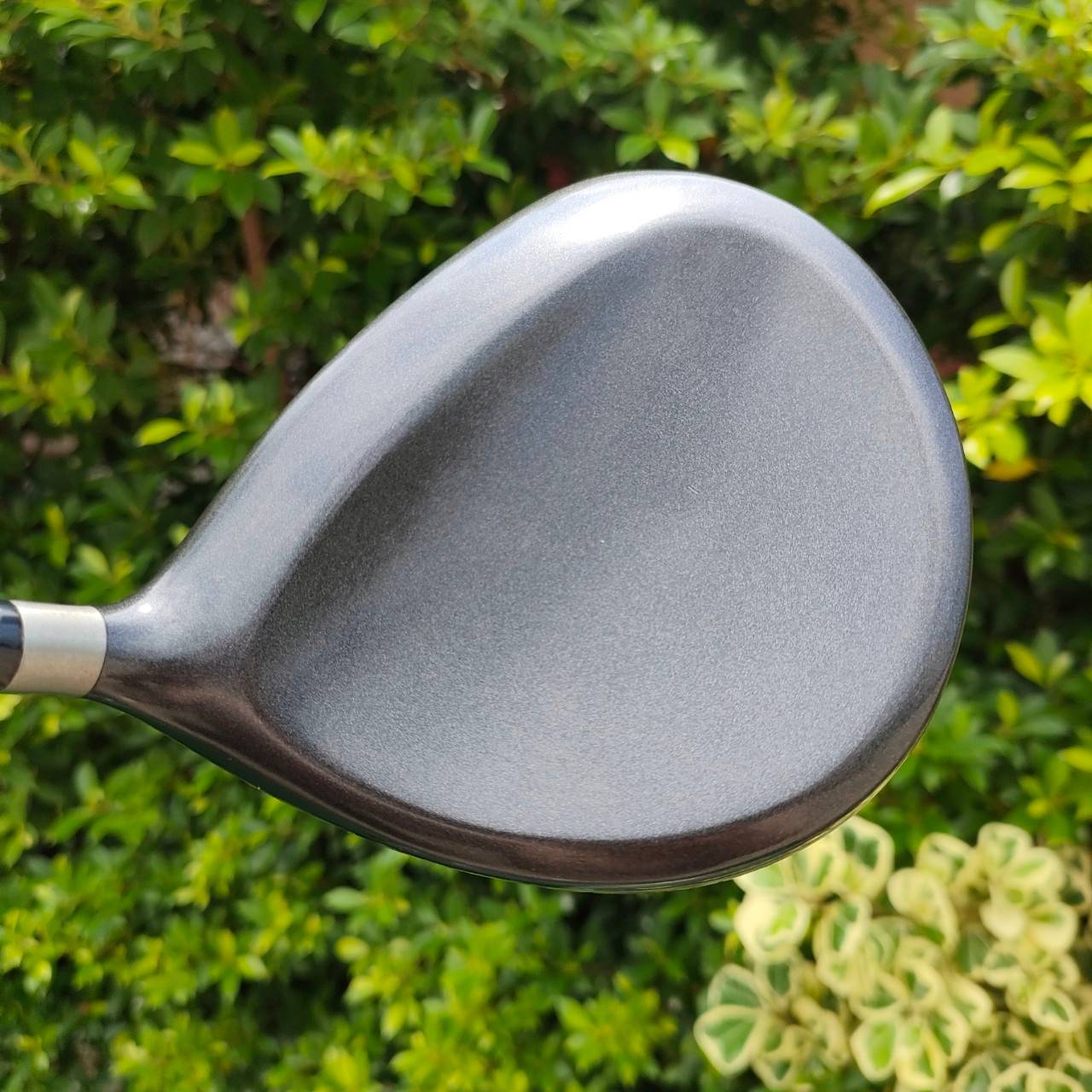 **ไม้กอล์ฟสำหรับผู้หญิง** DRIVER CLEVELAND HIBORE องศา 11.5 ก้าน FIRESF FLEX L รุ่นนี้ตีง่ายมาก กระดองแบบพิเศษ ลูกจะลอยง่ายมาก!! ไม้กอล์ฟมือสอง ของแท้ BY NakaraLuxurious