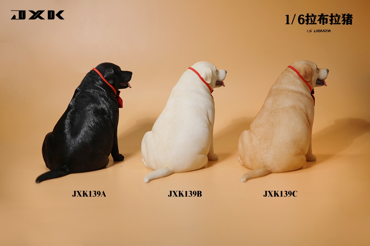 [สั่งจอง]JXK 1/6 : Labrador