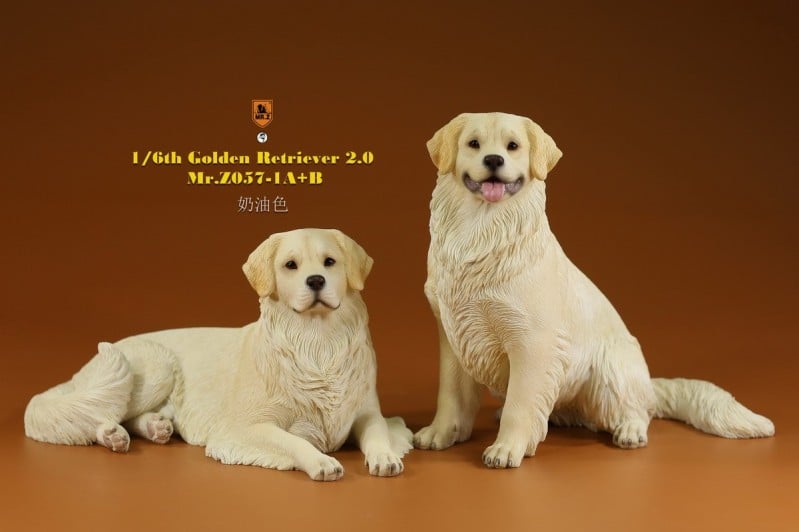 [สั่งจอง]Mr.Z MRZ057 1/6 : Golden Retriever 2.0