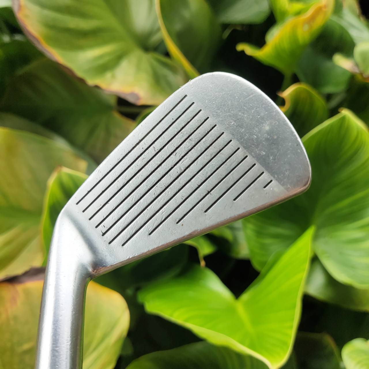 ชุดเหล็ก MIZUNO PRO MS-203 ตำนานจากญี่ปุ่น! สุดยอดเหล็ก Muscle Back ฟีลลิ่ง “Pure Forged”