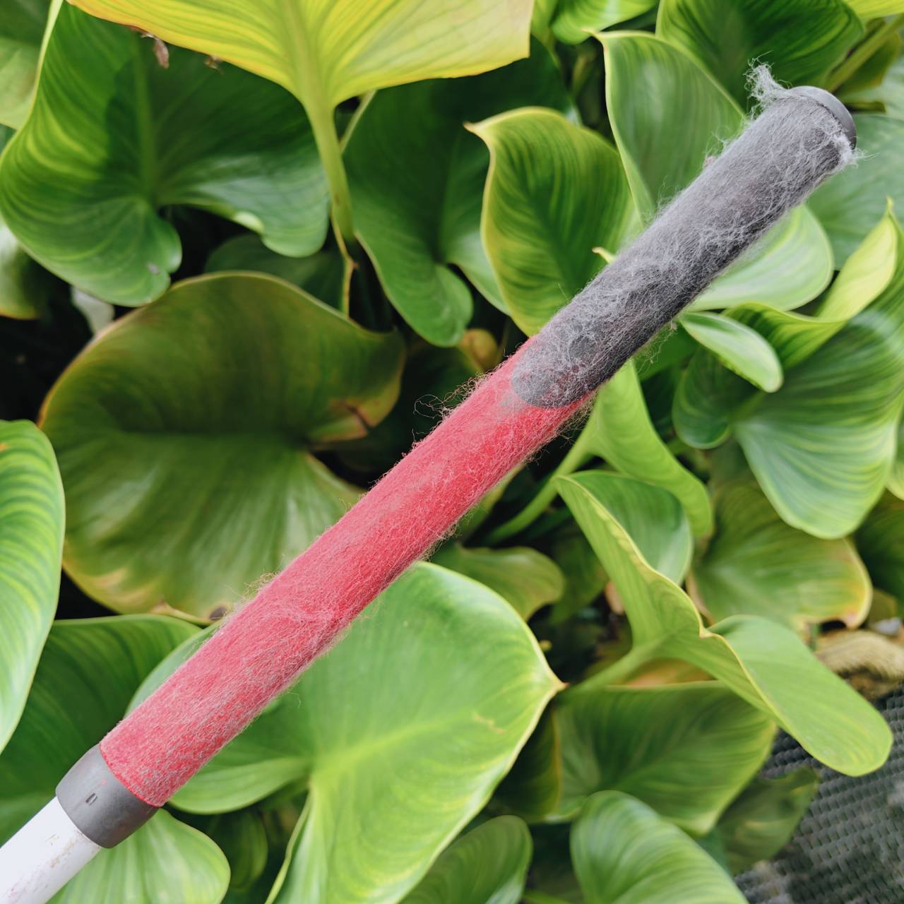 DRIVER NEW ZL ENCORE – โฉบเฉี่ยว ล้ำสมัย และเต็มไปด้วยสีสัน!