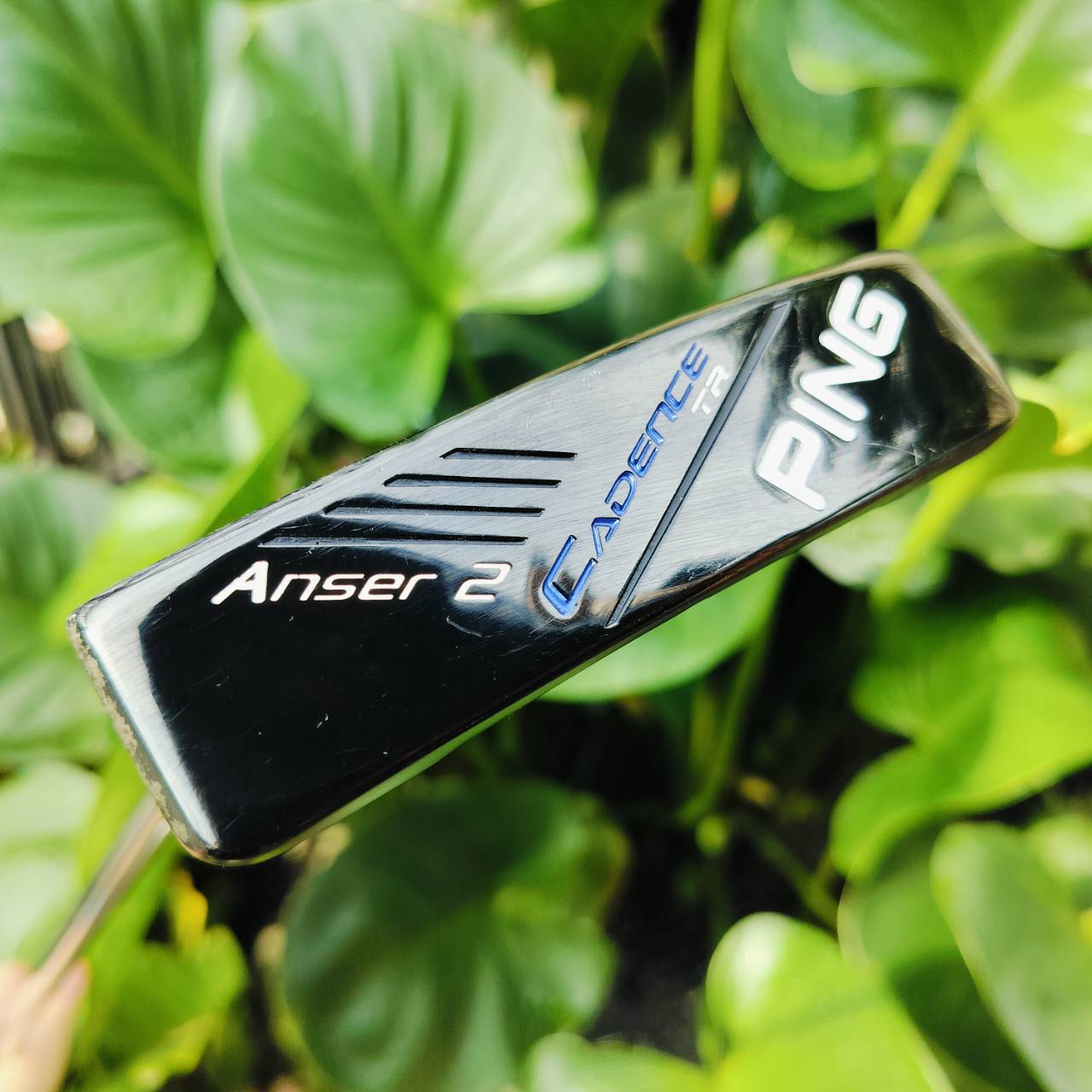 *** ไม้กอล์ฟมือซ้าย *** PUTTER PING ANSER2 CADENCE TR ความยาว 34 นิ้ว ตัวนี้เป็นตัวหน้าฟ้า BLUE : ALUMINIUM INSERT แผ่นหน้าอลุมิเนียมน้ำหนักเบา ให้ความรู้สึกที่นุ่มนวล ไม้กอล์ฟพรีเมี่ยมมือสอง ของแท้ By NakaraLuxurious