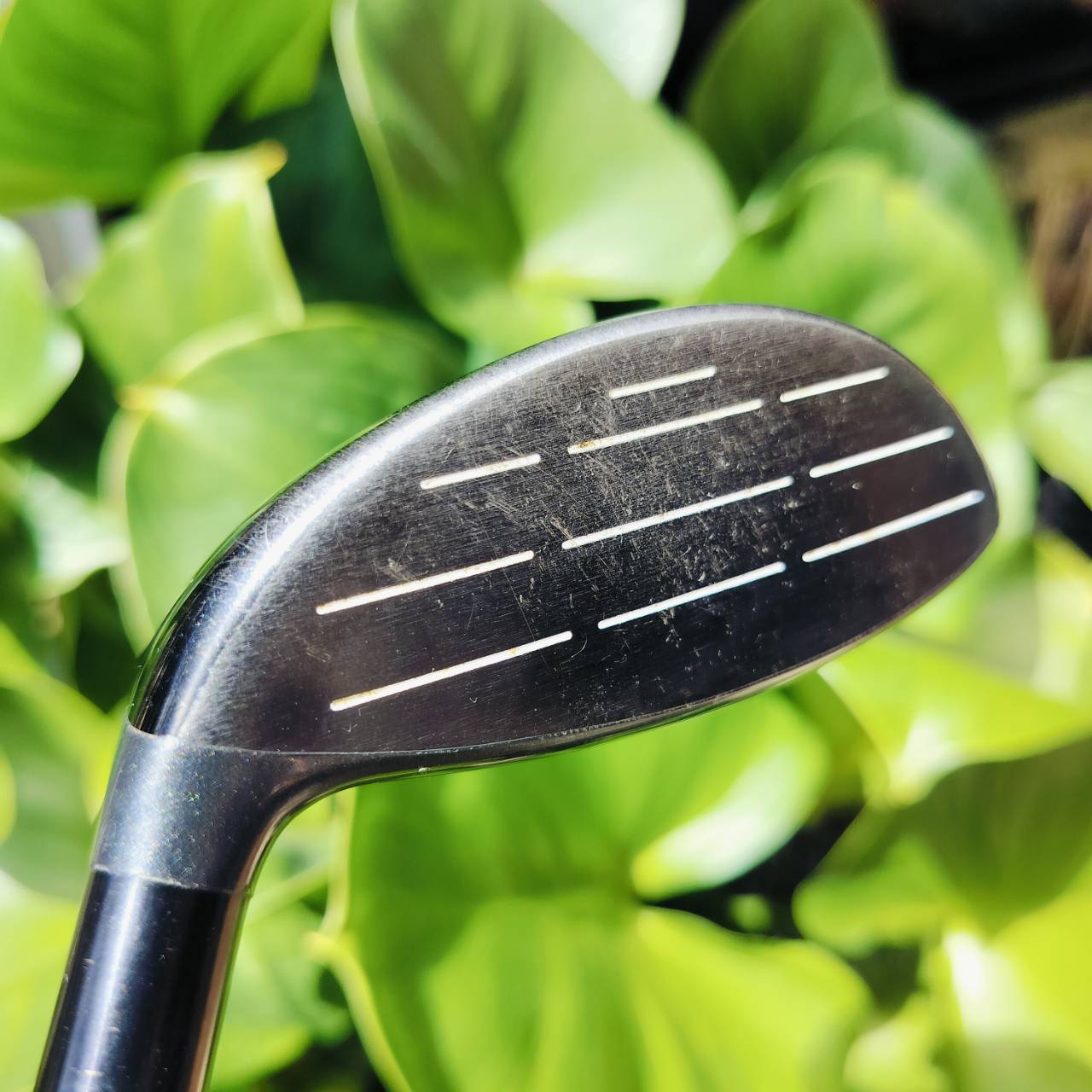 **ไม้กอล์ฟผู้หญิง** FW4 Callaway REVA เป็นสุดยอดไม้ผู้หญิงของ Callaway รุ่นใหม่กว่า Solaire ตีดีกว่ามาก ไม้กอล์ฟพรีเมี่ยมมือสอง ของแท้ By NakaraLuxurious
