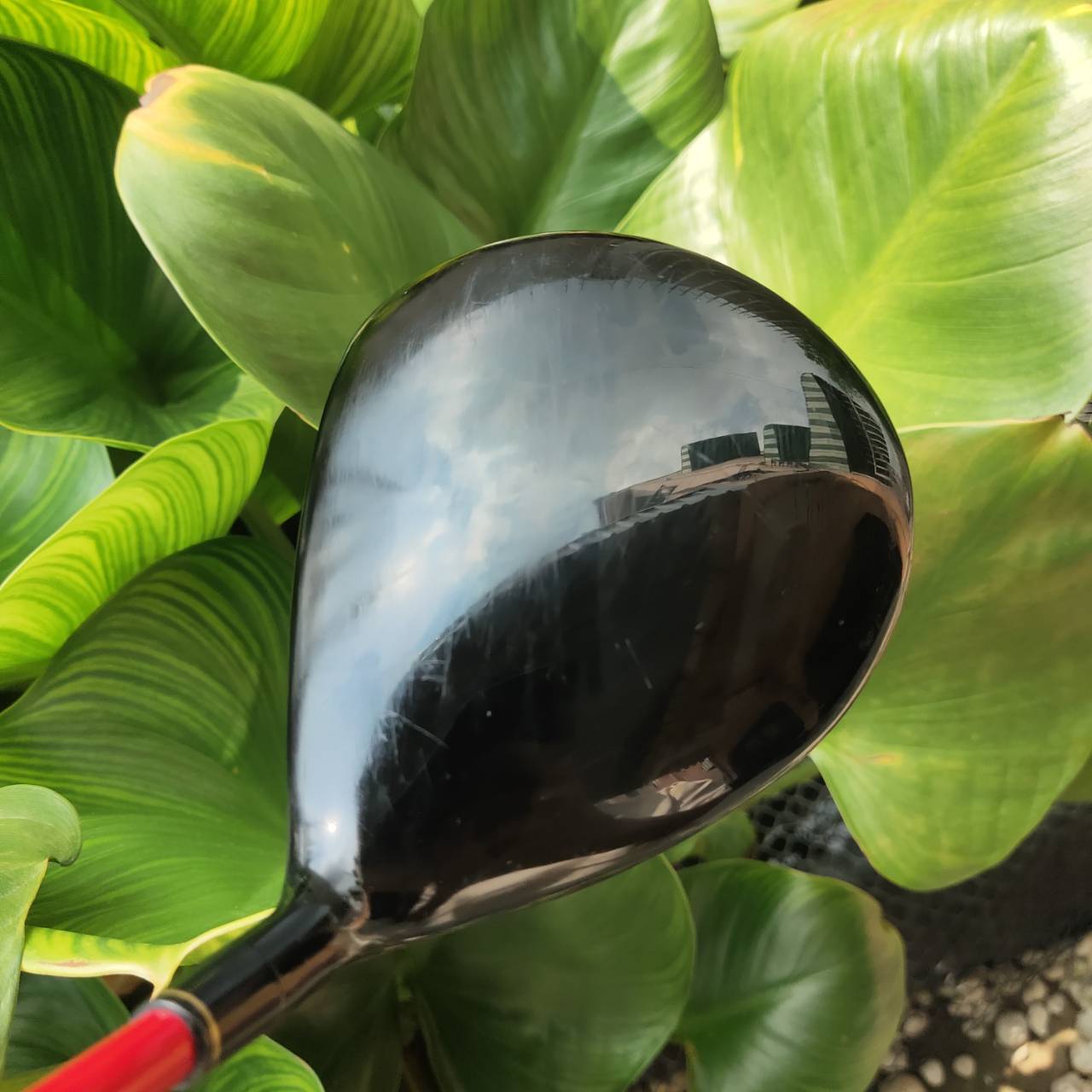 Driver หน้าเด้ง!!! Katana Sword LX8 ตีไกลไดร์ฟตรง ชนรั้วชนธง ก้าน FUJIKURA MOTORE FLEX R