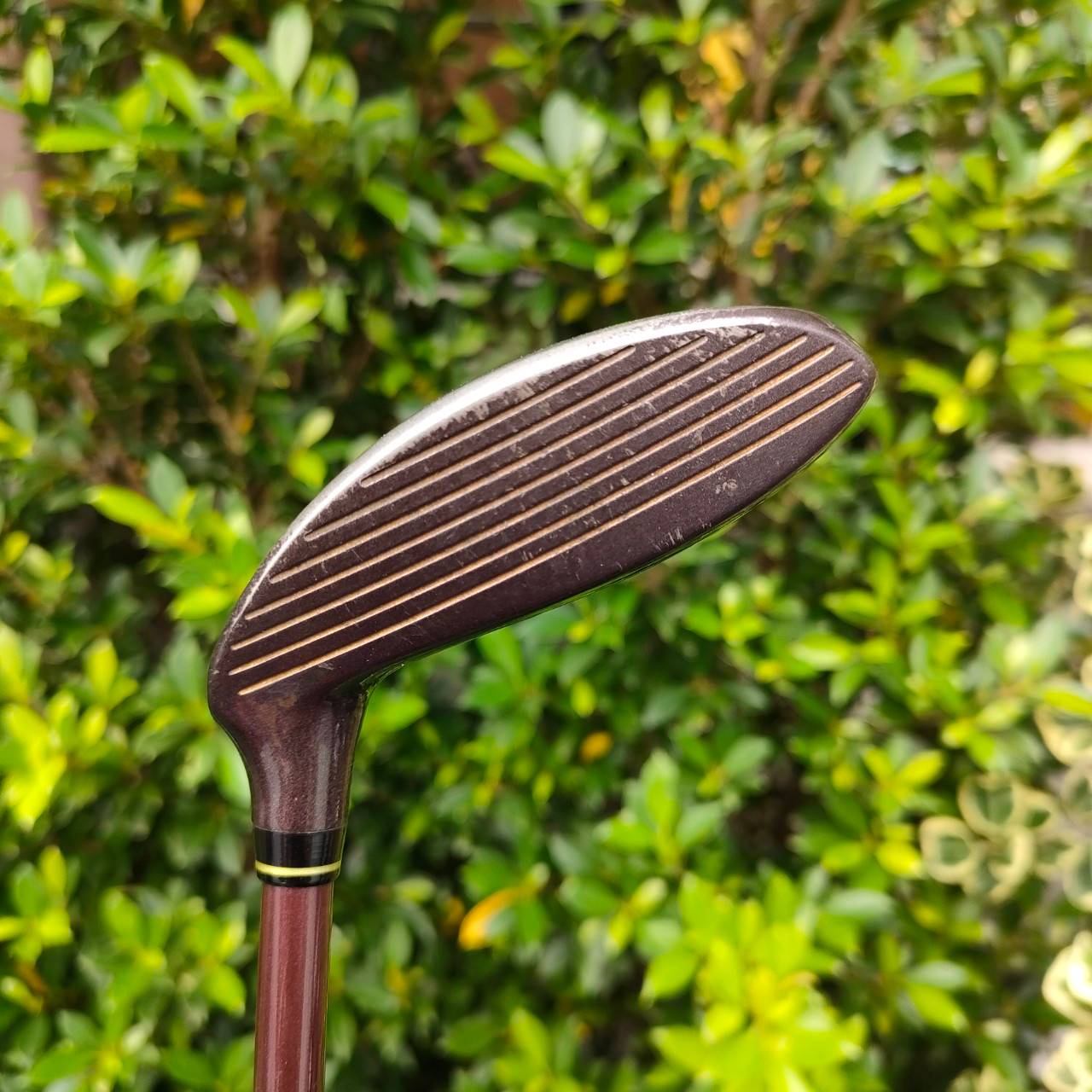 HYBRID KASCO POWER TORNADO 77 ก้าน POWER TORNADO FLEX L ไม้กอล์ฟสำหรับผู้หญิงรุ่นดังหายากครับรุ่นนี้ เป็นหัวสีอมชมพูของผู้หญิงโดยเฉพาะ