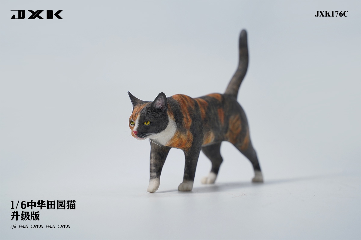 [สั่งจอง] JXK JXK176 1/6 : Felis Catus