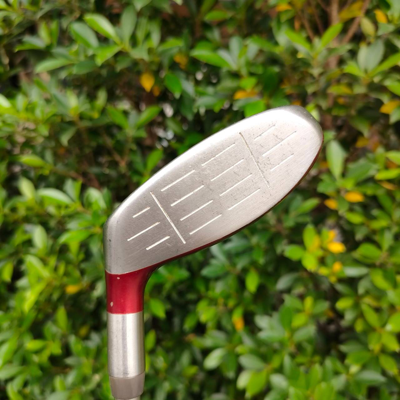 *** ไม้กอล์ฟผู้หญิง *** FW5 TAYLORMADE BURNER SUPERSTEEL LADY ก้าน TAYLORMADE BUBBLE FLEX L ก้าน BUBBLE เป็นก้านทรงพิเศษ