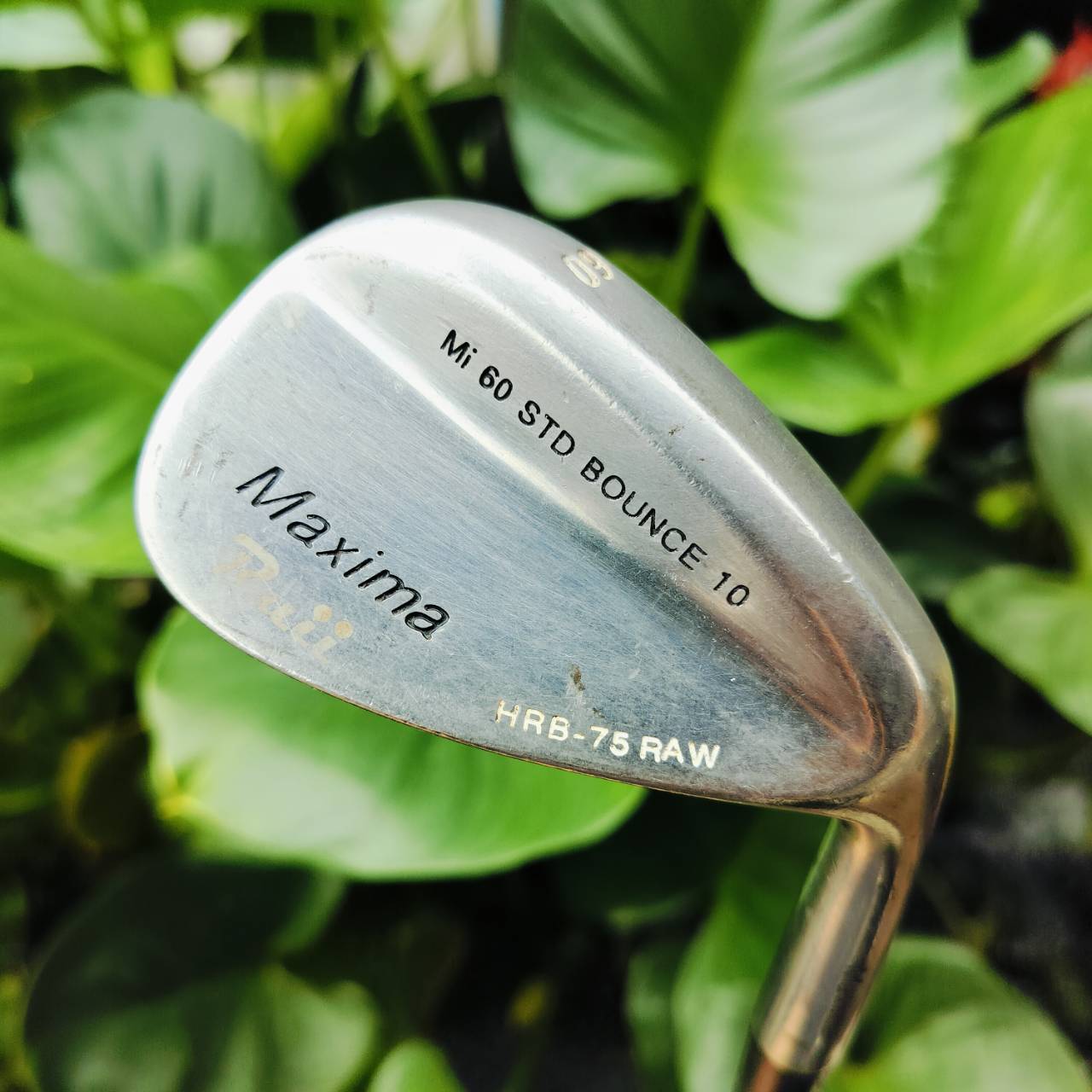 WEDGE MAXIMA RUII องศา 60 BOUNCE 10 ก้าน เหล็ก WEDGE FLEX หน้าตะไบ แบบขั้นสุดๆๆๆ ดูได้จากรูป ตกหยุดแน่นอน ไม้กอล์ฟพรีเมี่ยมมือสอง ของแท้ By NakaraLuxurious