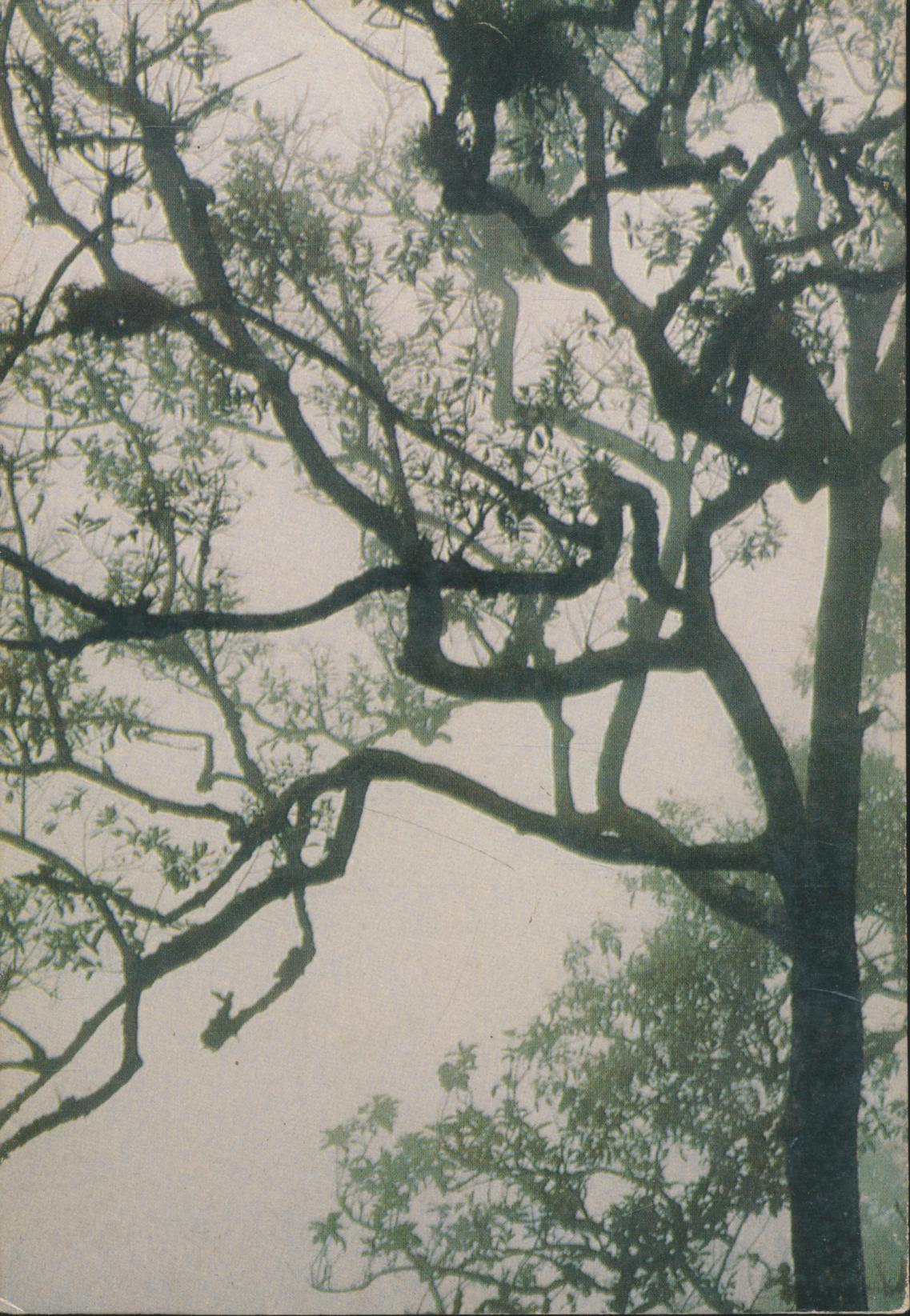 เรียงถ้อยร้อยชีวิต