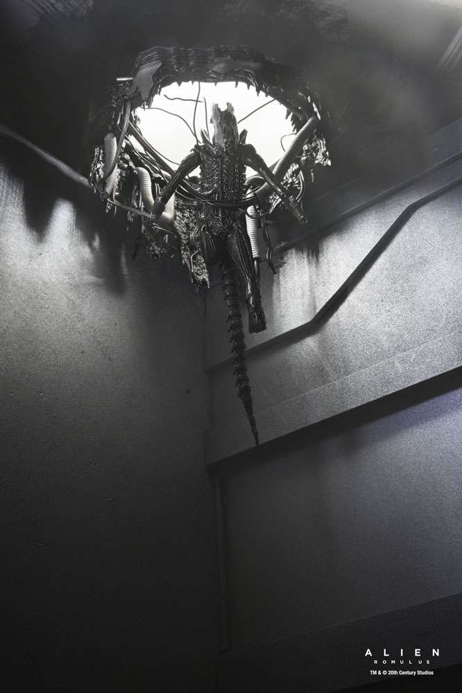 [สั่งจอง] NECA : Romulus Suspended Lab Xenomorph XX121