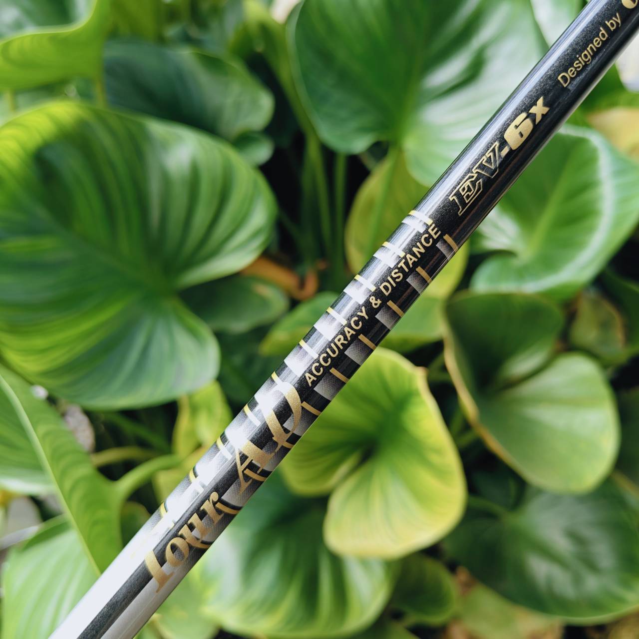 TOUR AD EV-6X – ก้านแรง ฟีลแน่น สำหรับนักกอล์ฟที่ต้องการ "ความแม่นระดับโปร"