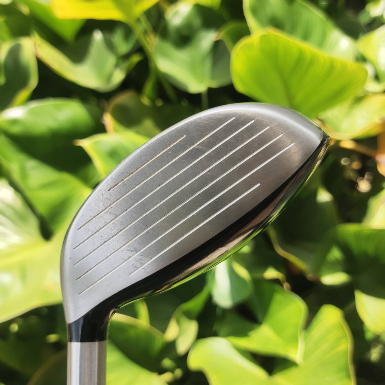 3W Cleveland Launcher แบน ใหญ่ ตีง่าย ระยะไกล บอลลอยสวย ควบคุมทิศทางดีมาก