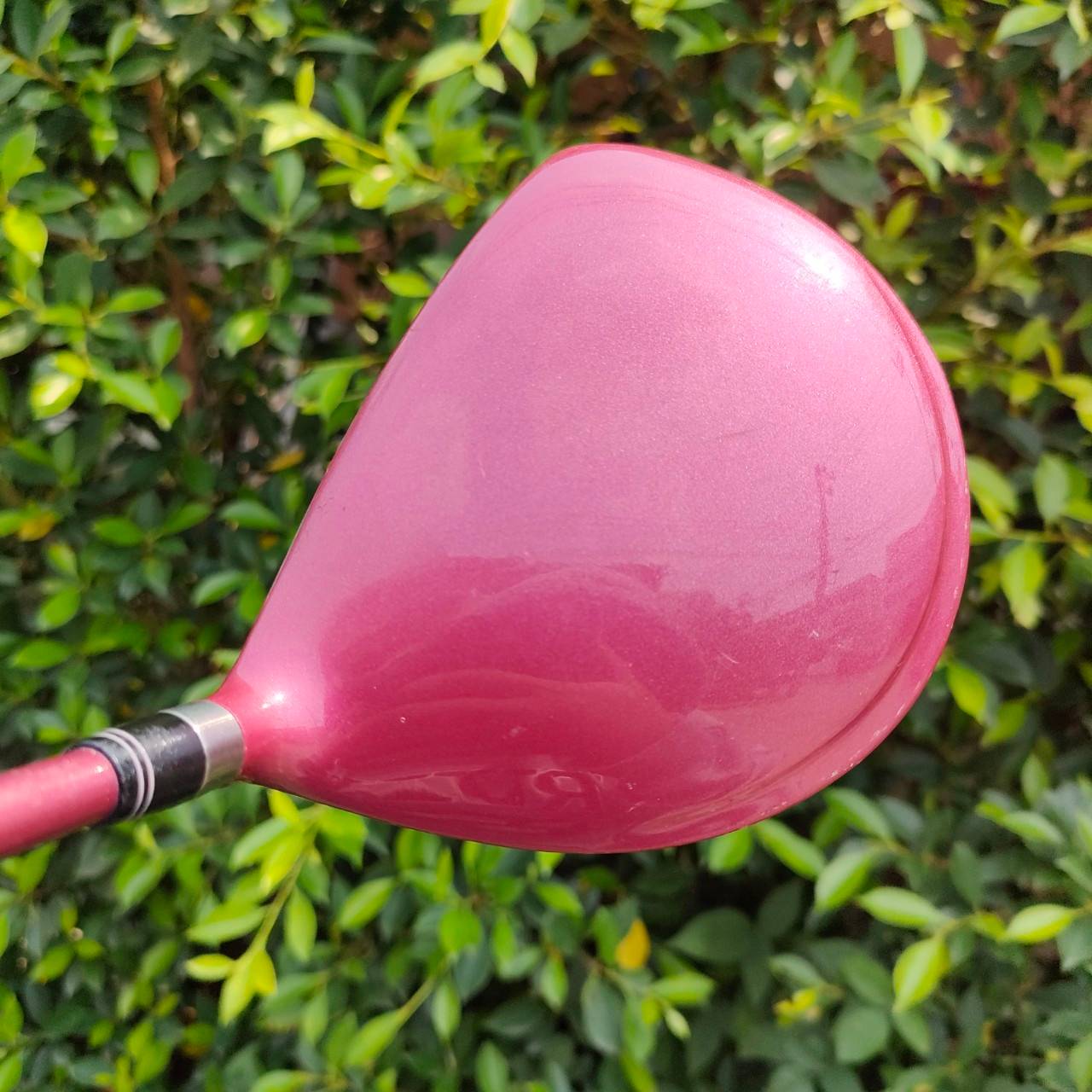 ** ไม้กอล์ฟสำหรับผู้หญิง ** DRIVER KASCO DIMPALS EL องศา 12 ก้าน DIMPALS FLEX L หน้าสัมผัสกว้าง ตีไกล และไกล วัสดุพรีเมี่ยม มาตรฐานสูง คุ้มค่าราคามากๆ