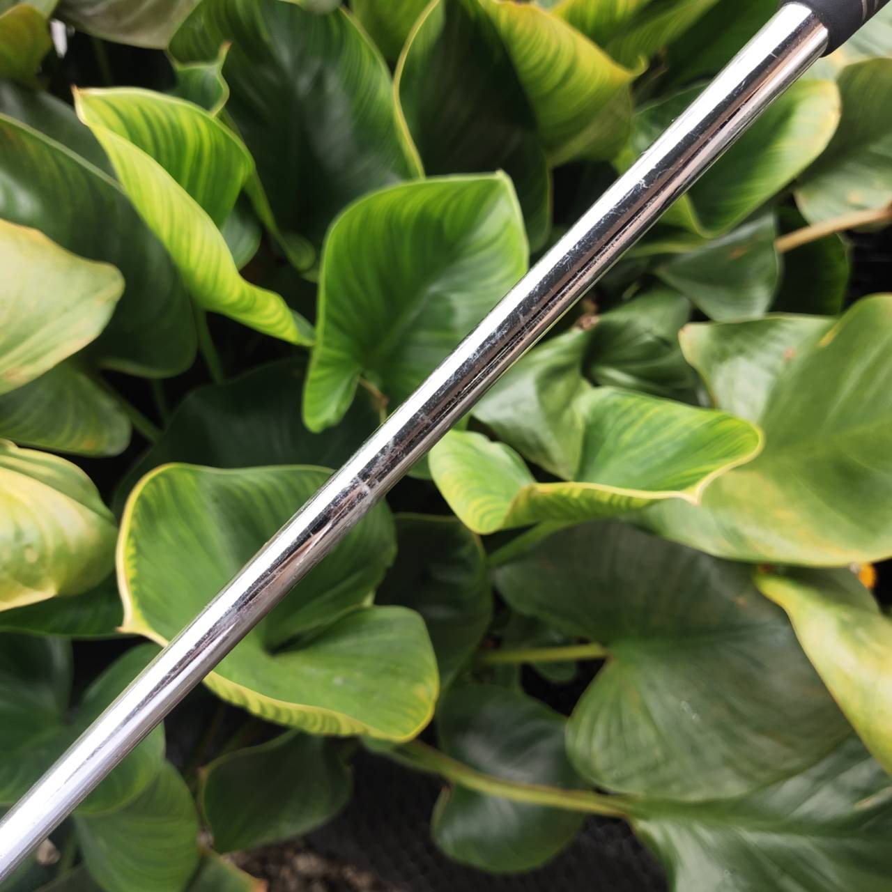 PUTTER NIKE OZ Mallett ทรงมอลเล็ต เล็งไลน์ง่าย MOI สูง Insert พิเศษ สัมผัสนุ่ม เกาะไลน์ขั้นสุด