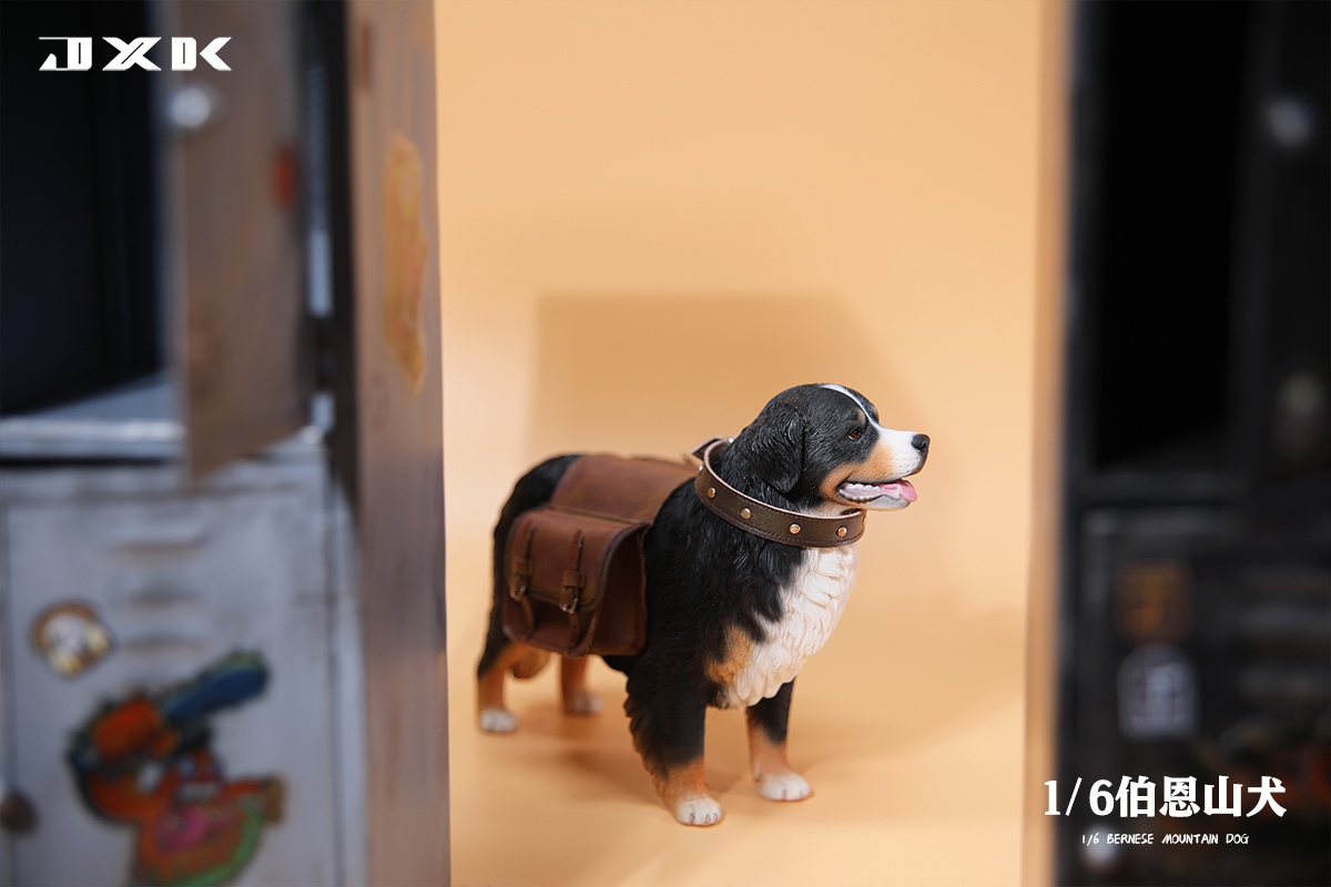 [สั่งจอง]JXK JXK144 1/6 : Bernese Mountain Dog