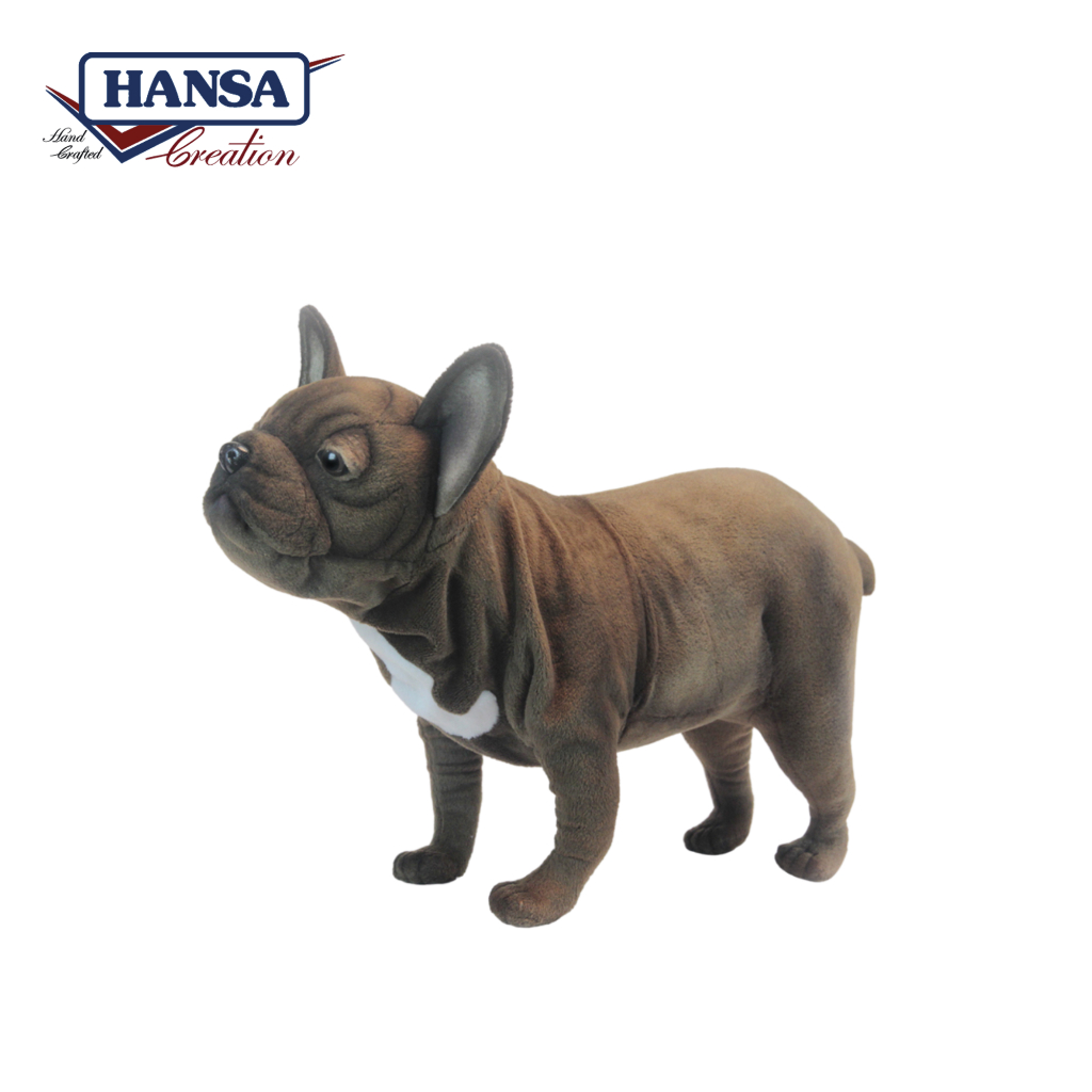 6600 French Bulldog Adult 50cm.L