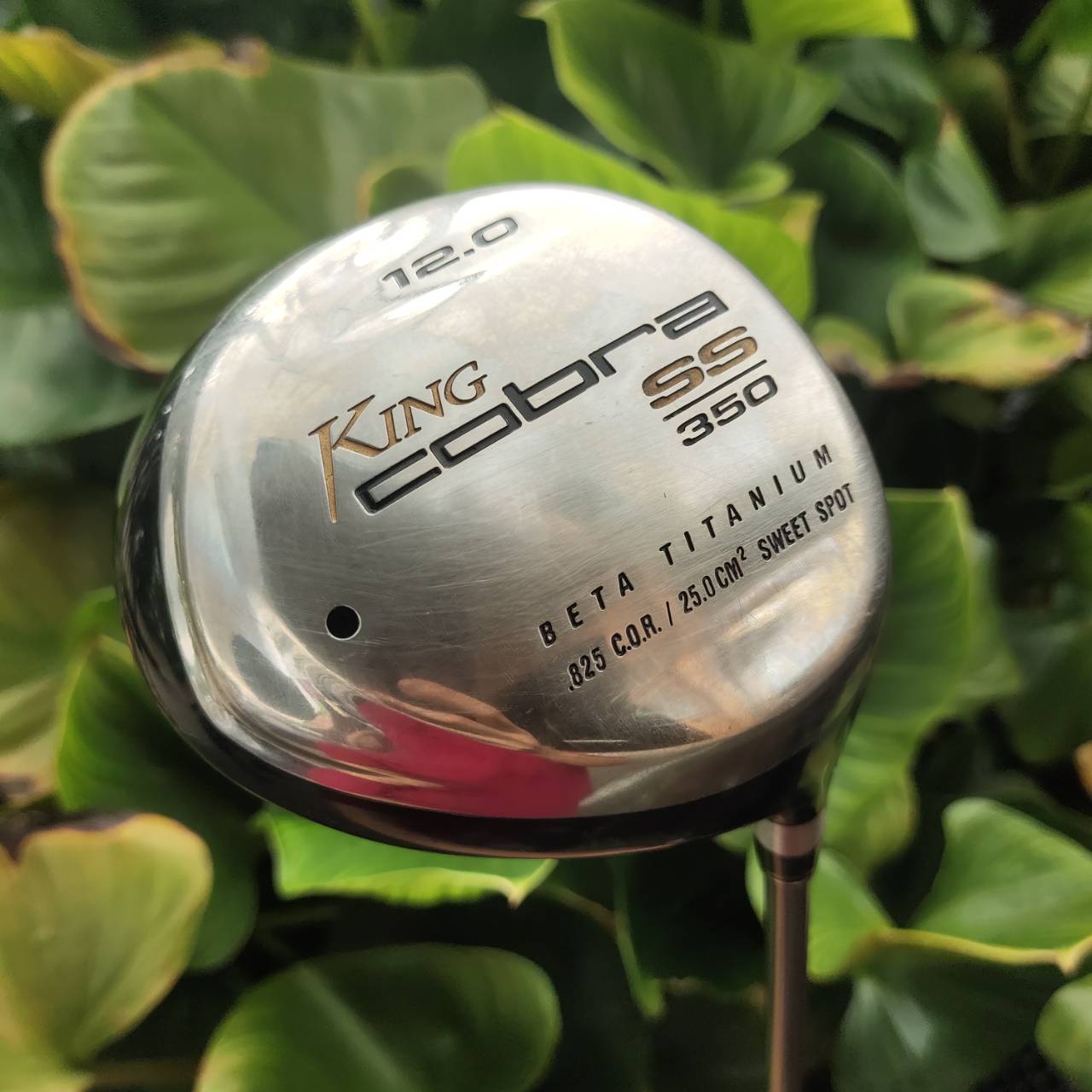 Driver KING COBRA SS BETA TITANIUM COR .825 หน้าเด้งมาก จุดสวีตสปอตกว้าง