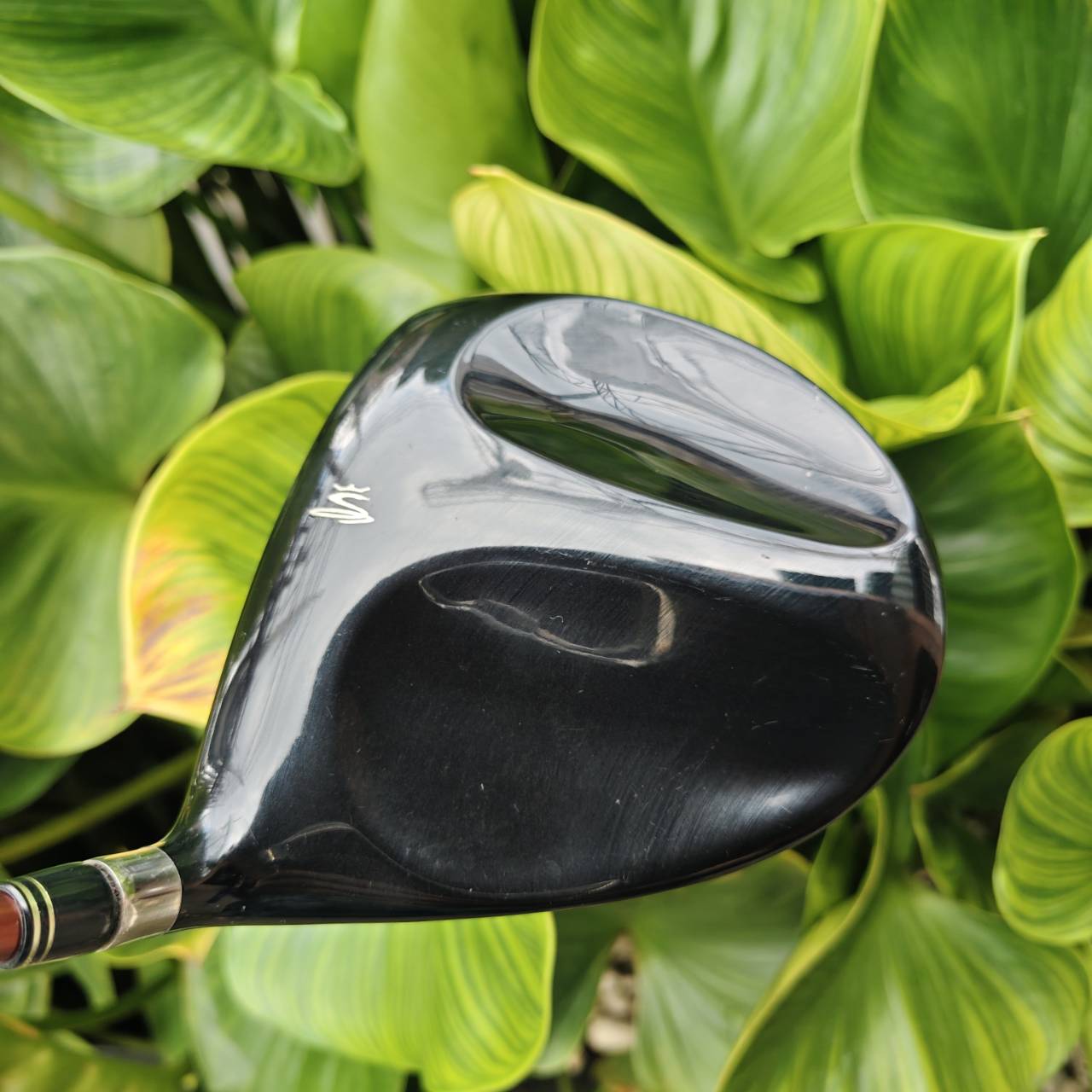 Driver King Cobra Speed LD 5000 Inertia F (Loft 9°) ก้าน ALDILA NV FLEX S